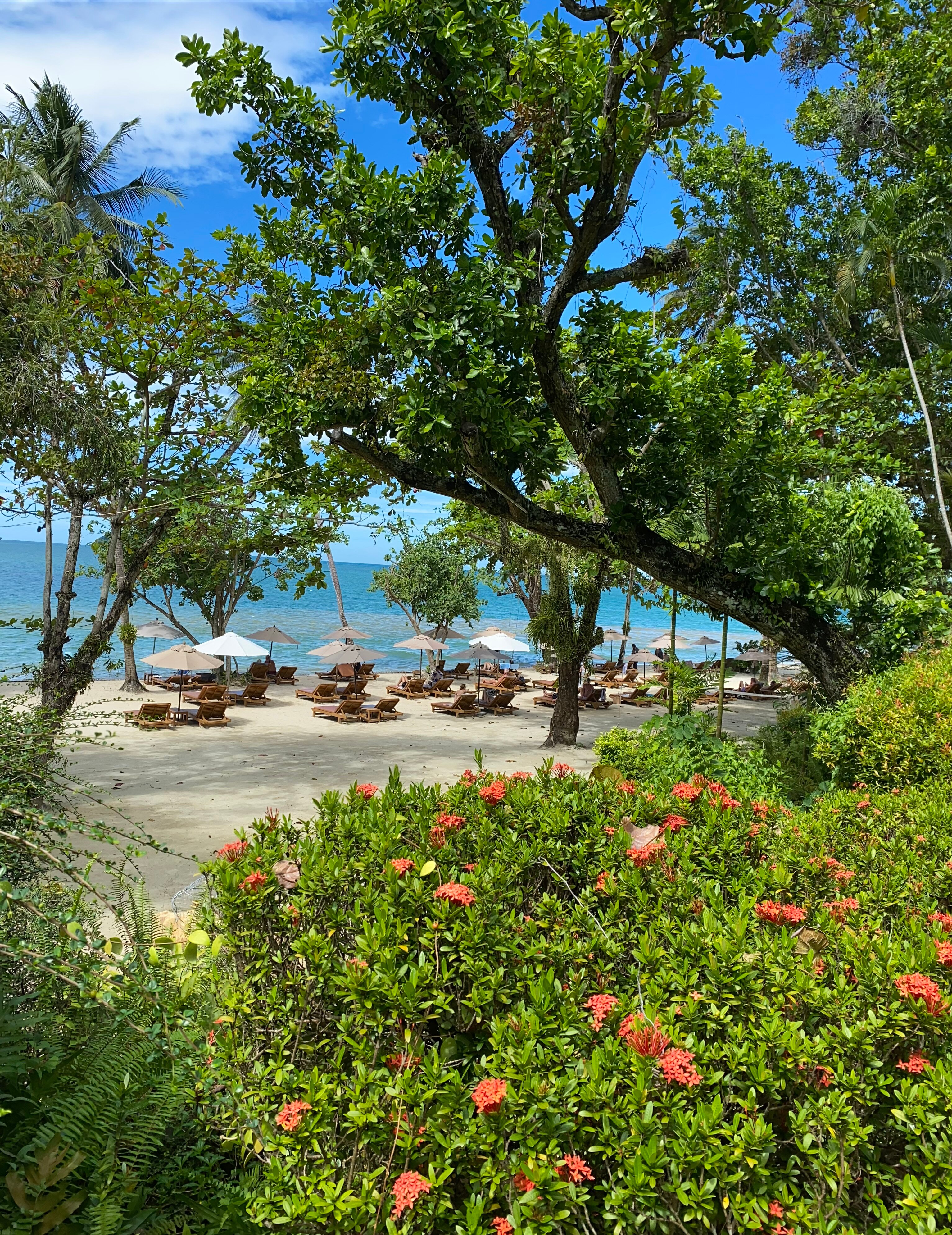 Фото Sylvan Koh Chang