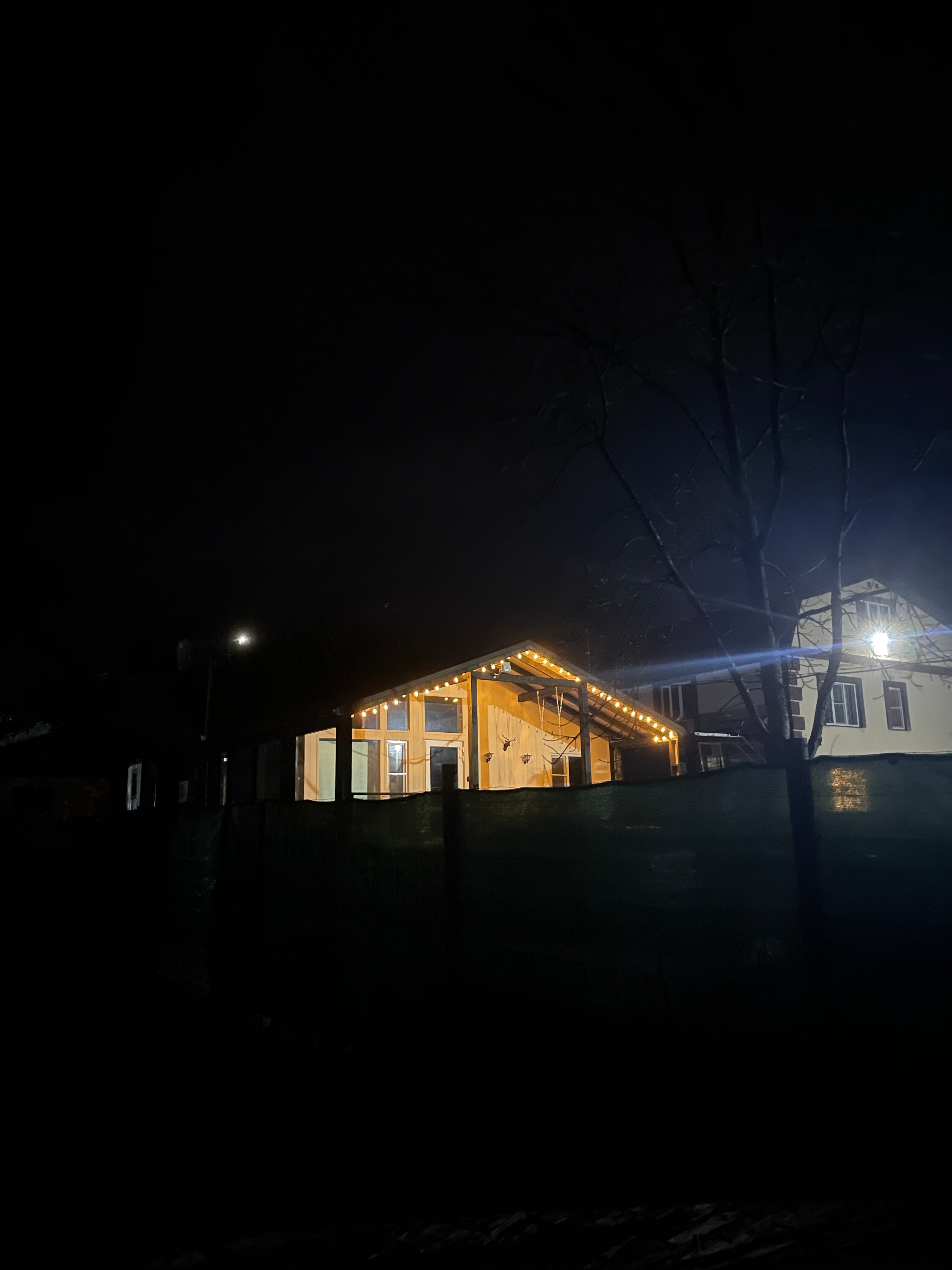 Фото Секвойя