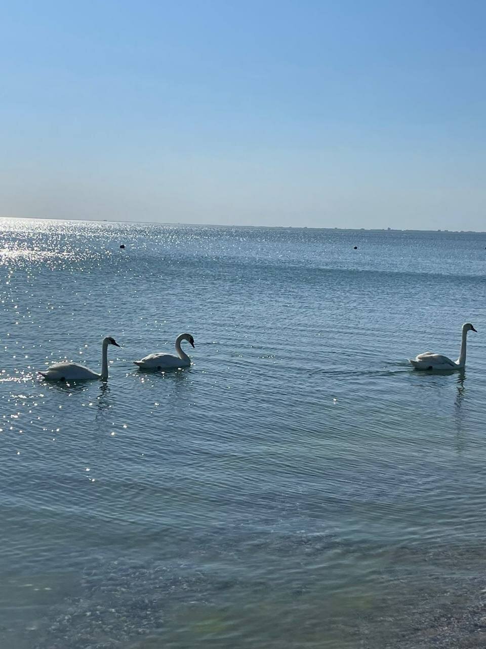 Фото Малибу