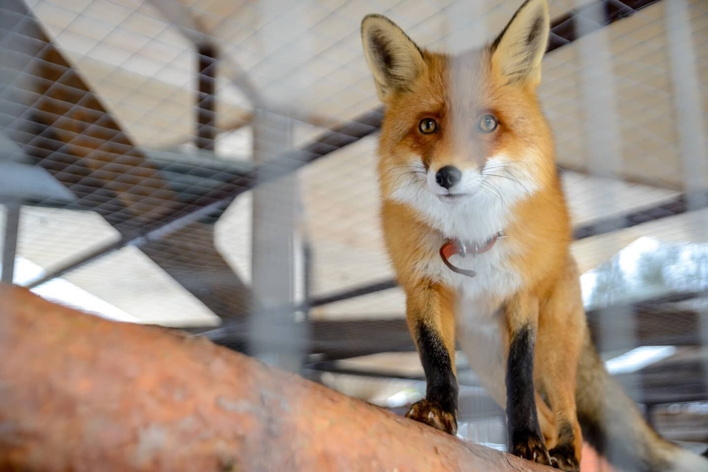 Фото Юхновград