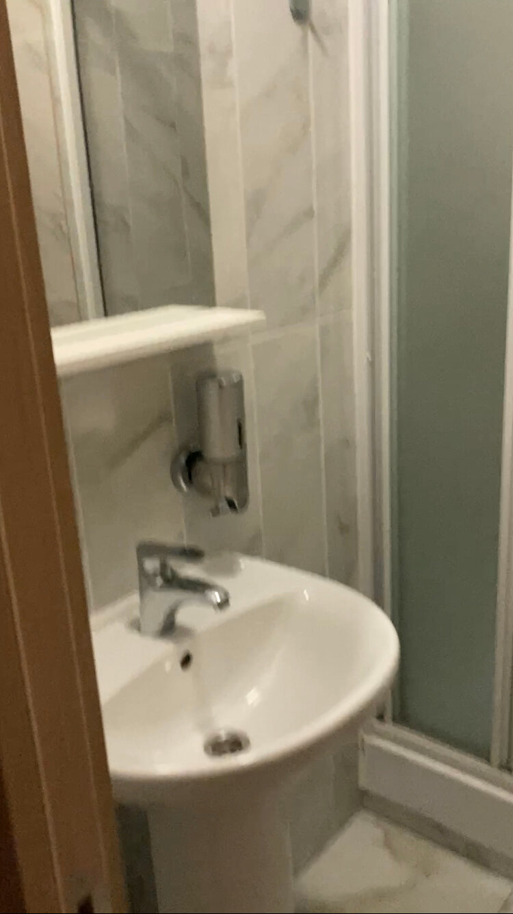 Фото Crocus Star