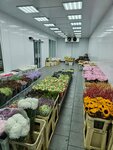 HitFlower (Rizhskaya Square, 9с2), flower shop