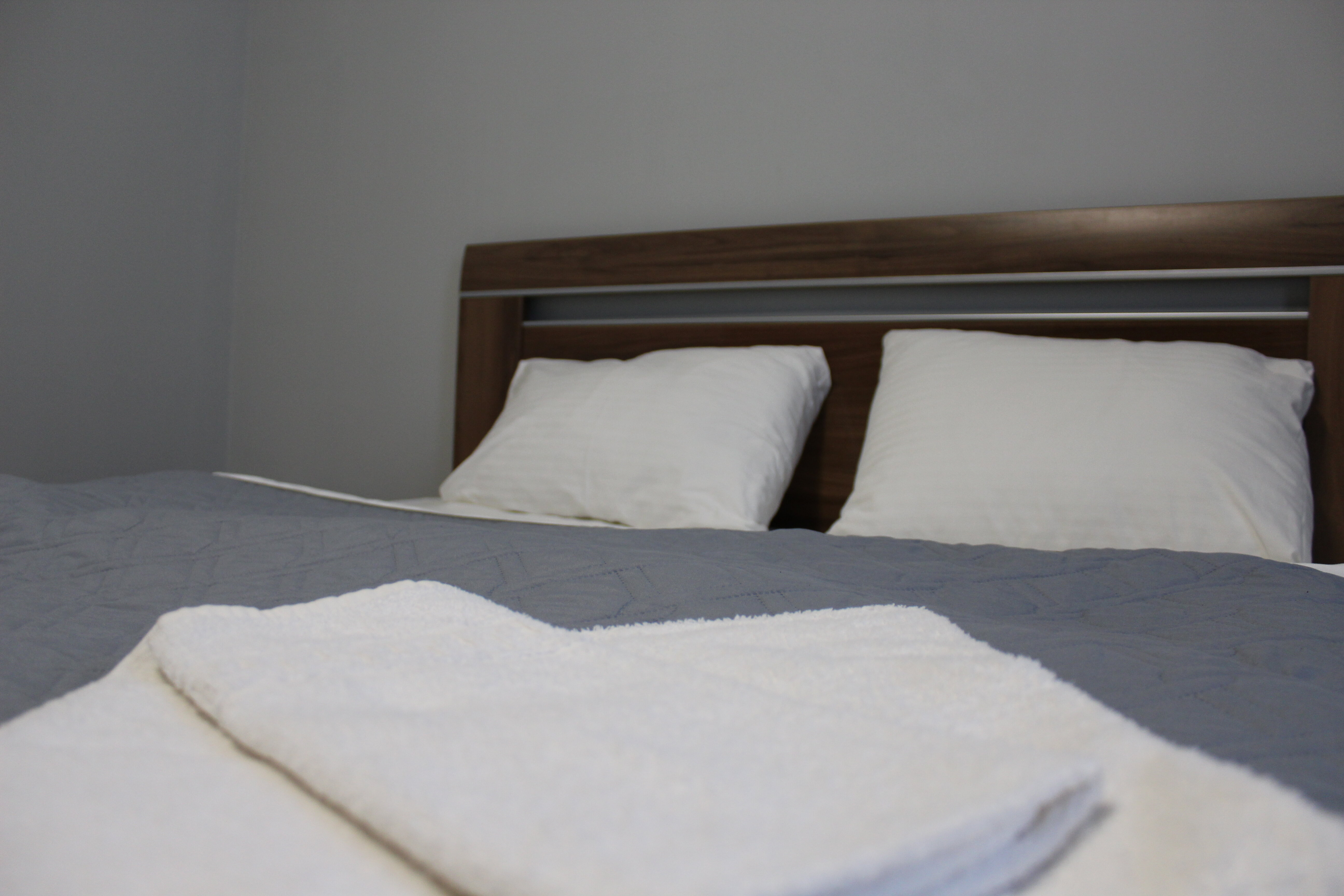 Фото Александрия