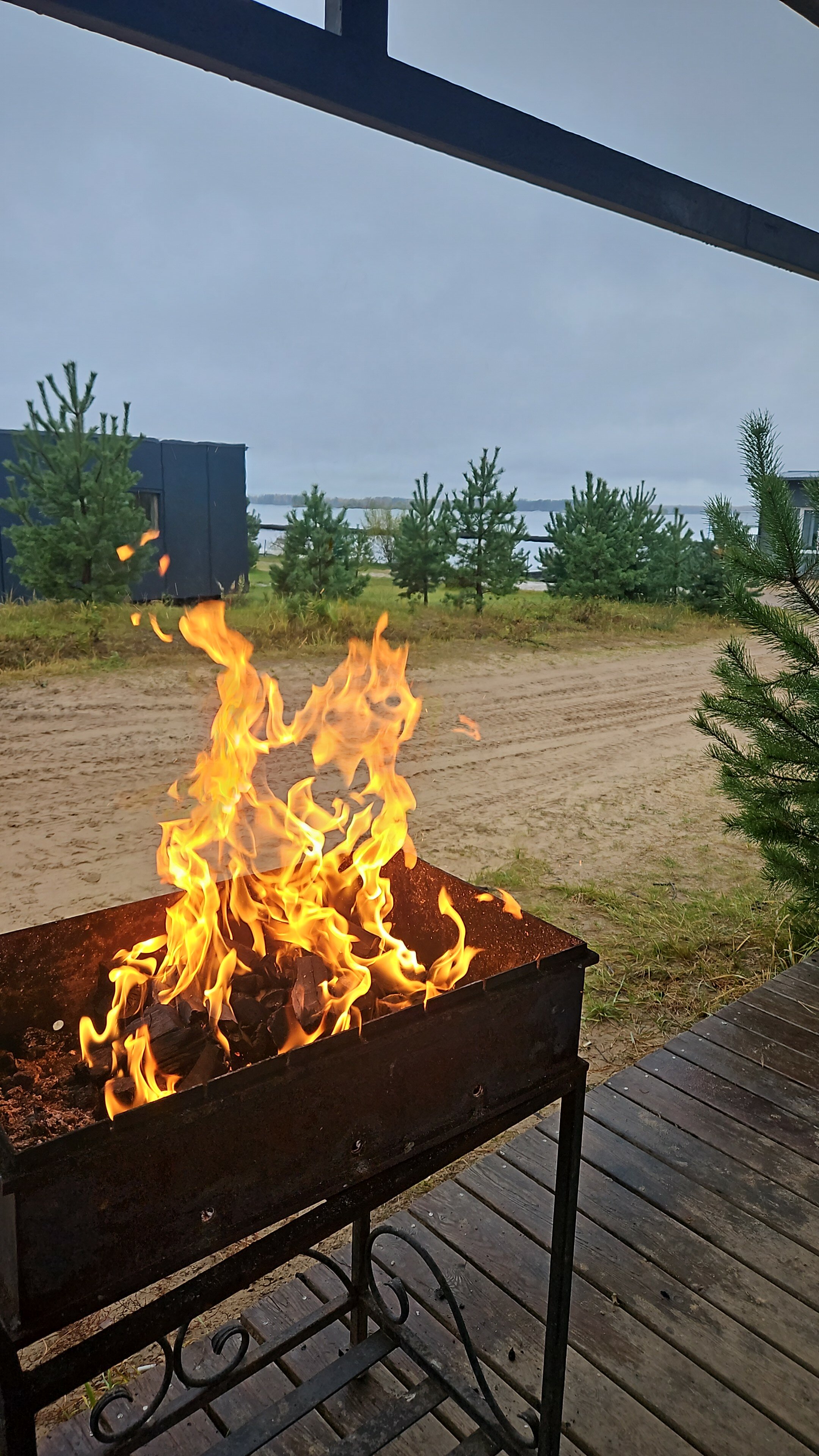 Фото Веточка