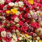 Artflora (Turistskaya Street, 28к1), flower shop