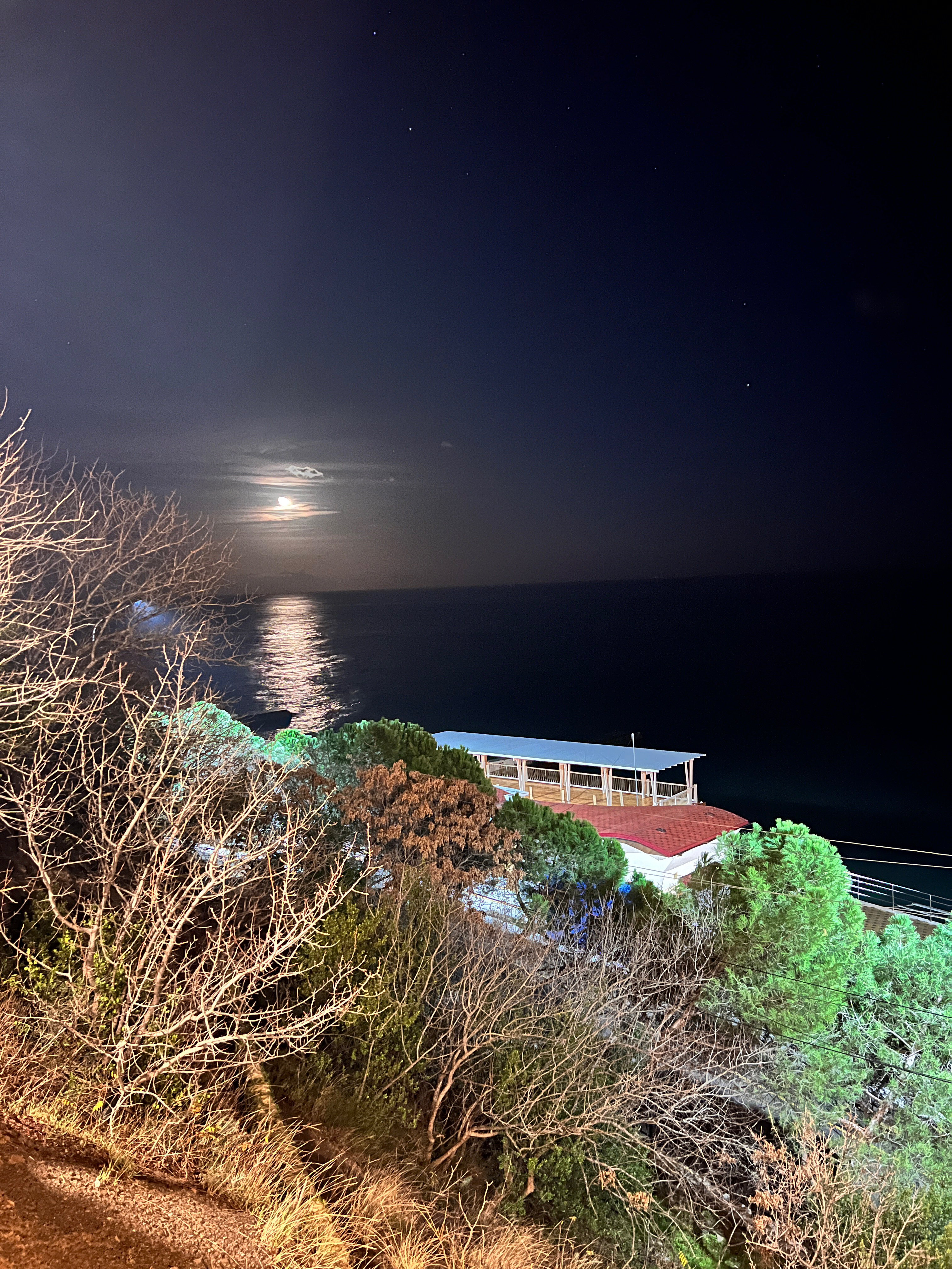 Фото Бунгало Билл