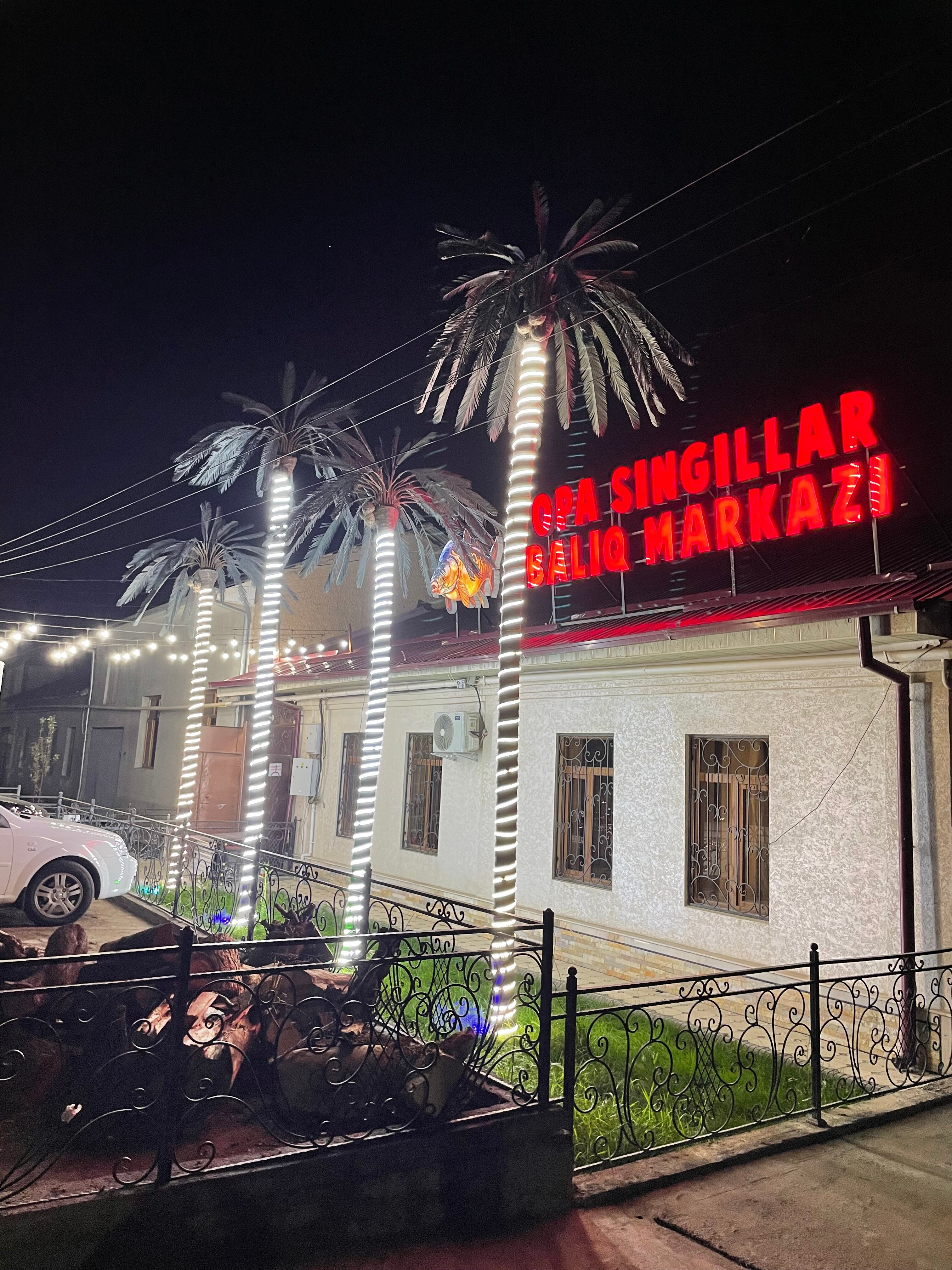 Ferro Network tasmali