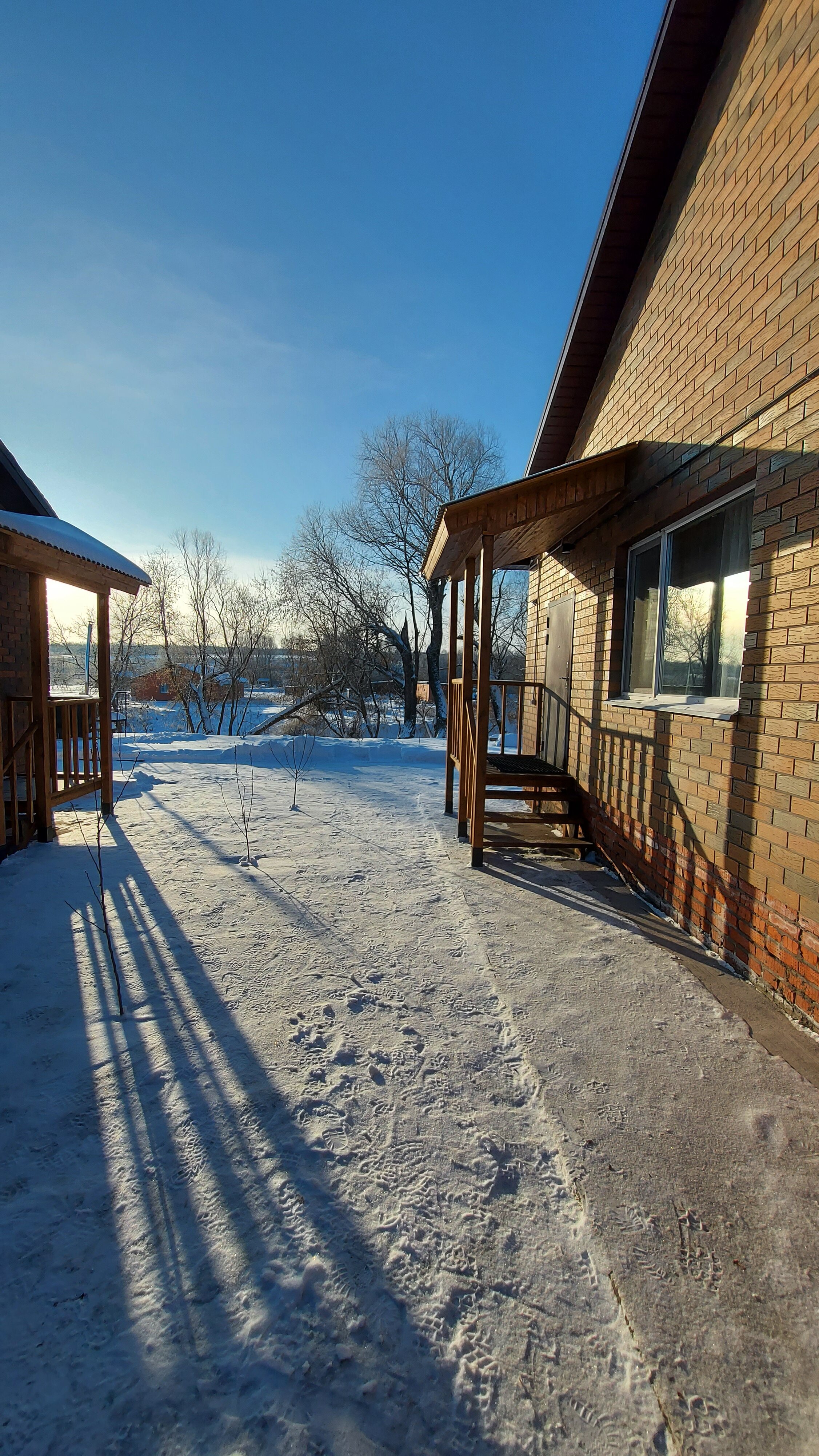 Фото Ёлки-Палки