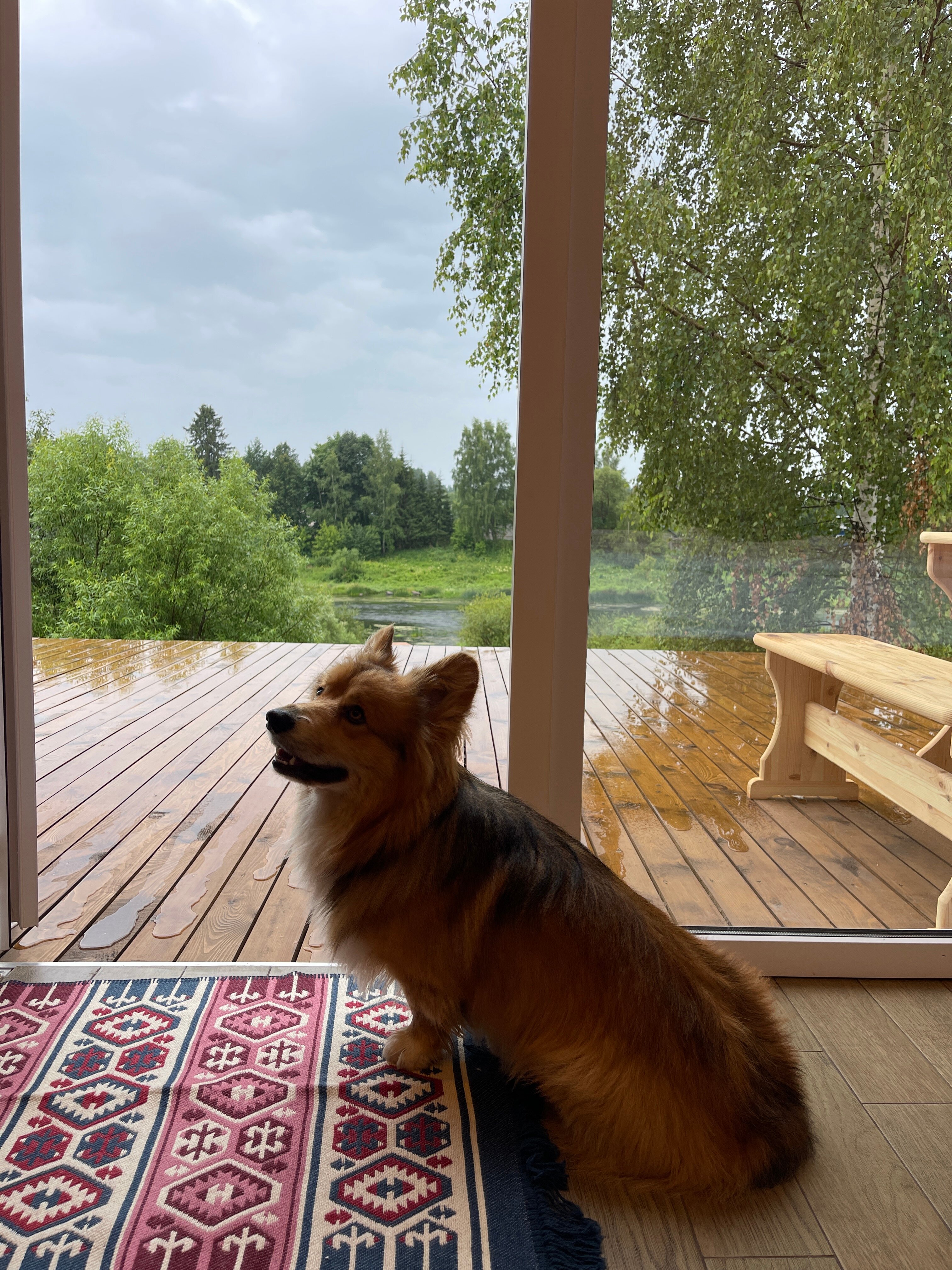 Фото Глэмпинг Тверской-Ямской