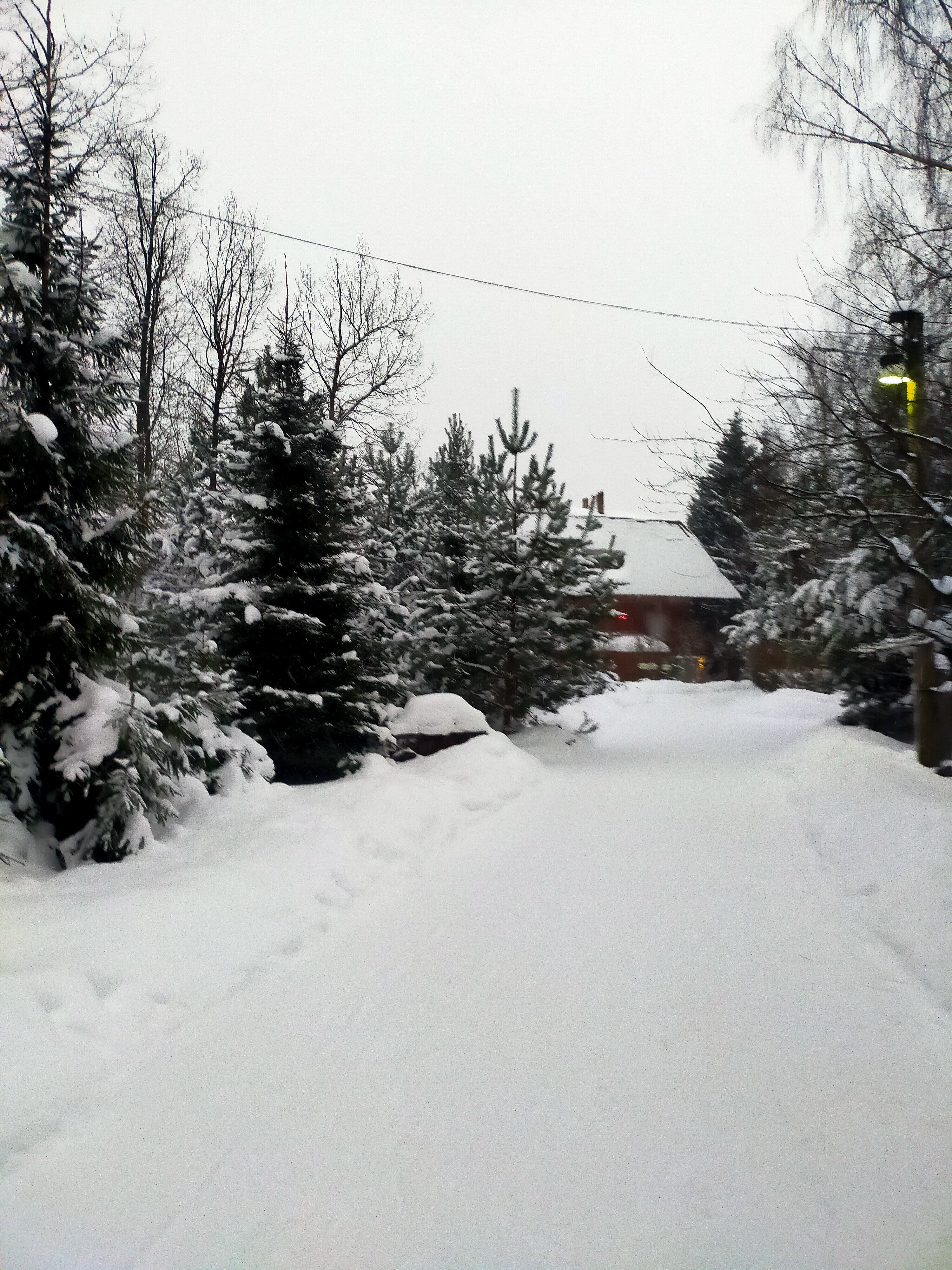 Фото Парк отель Медвежьи озёра