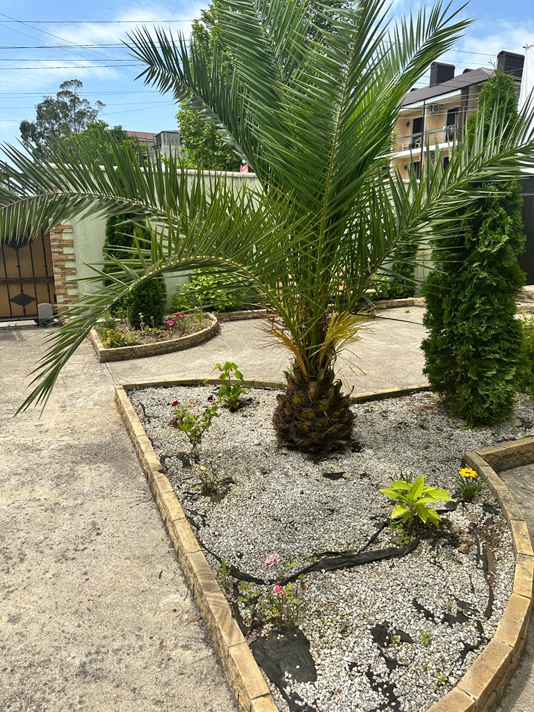 Фото Тихая гавань