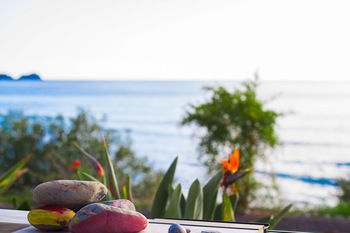 Фото Skinos Apartments and Studios