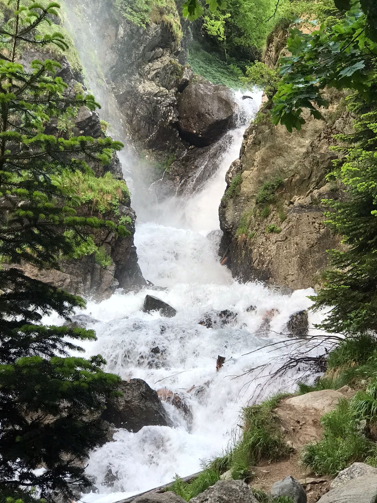 Фото Белый волк