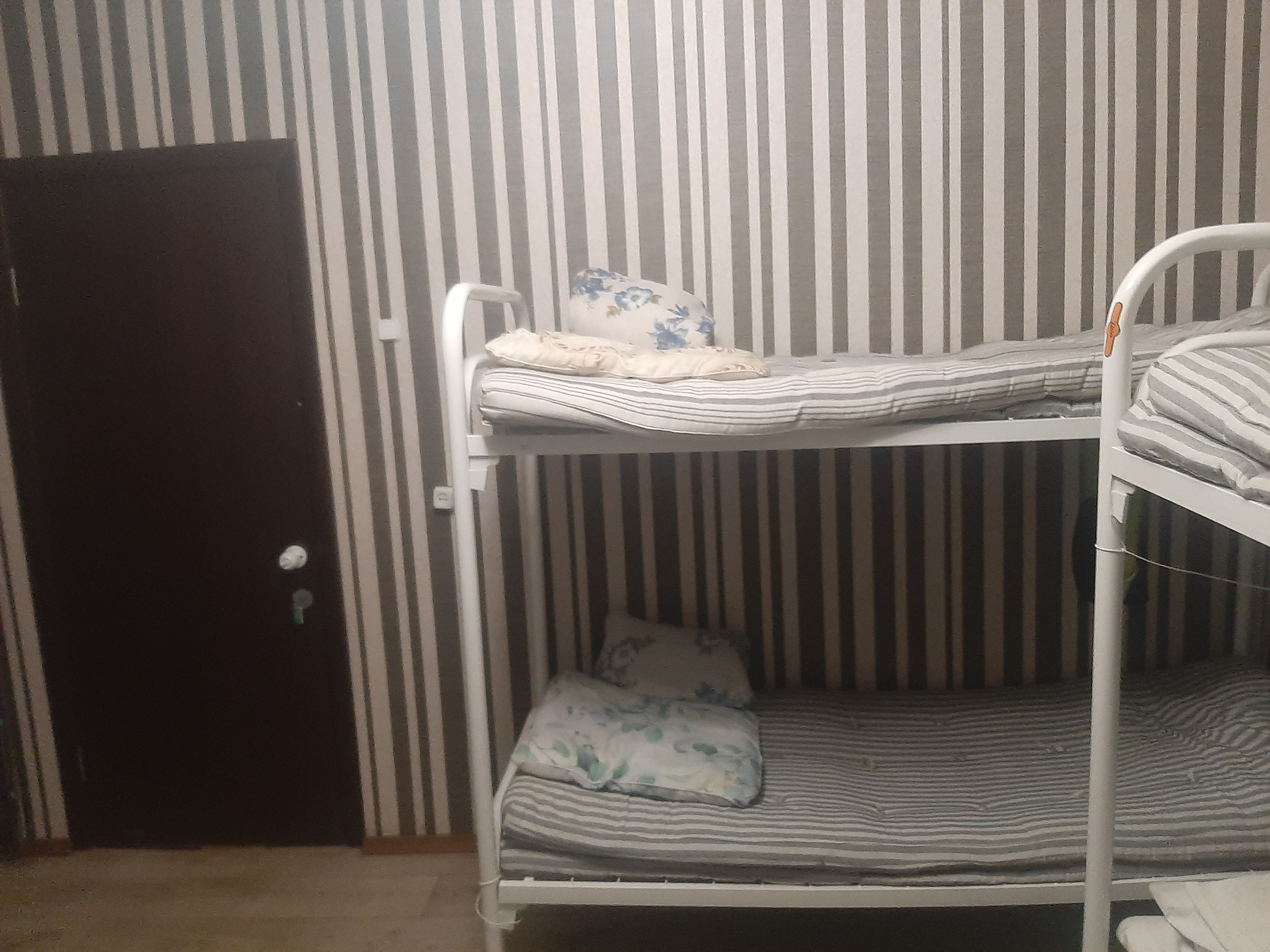 Фото Базилик