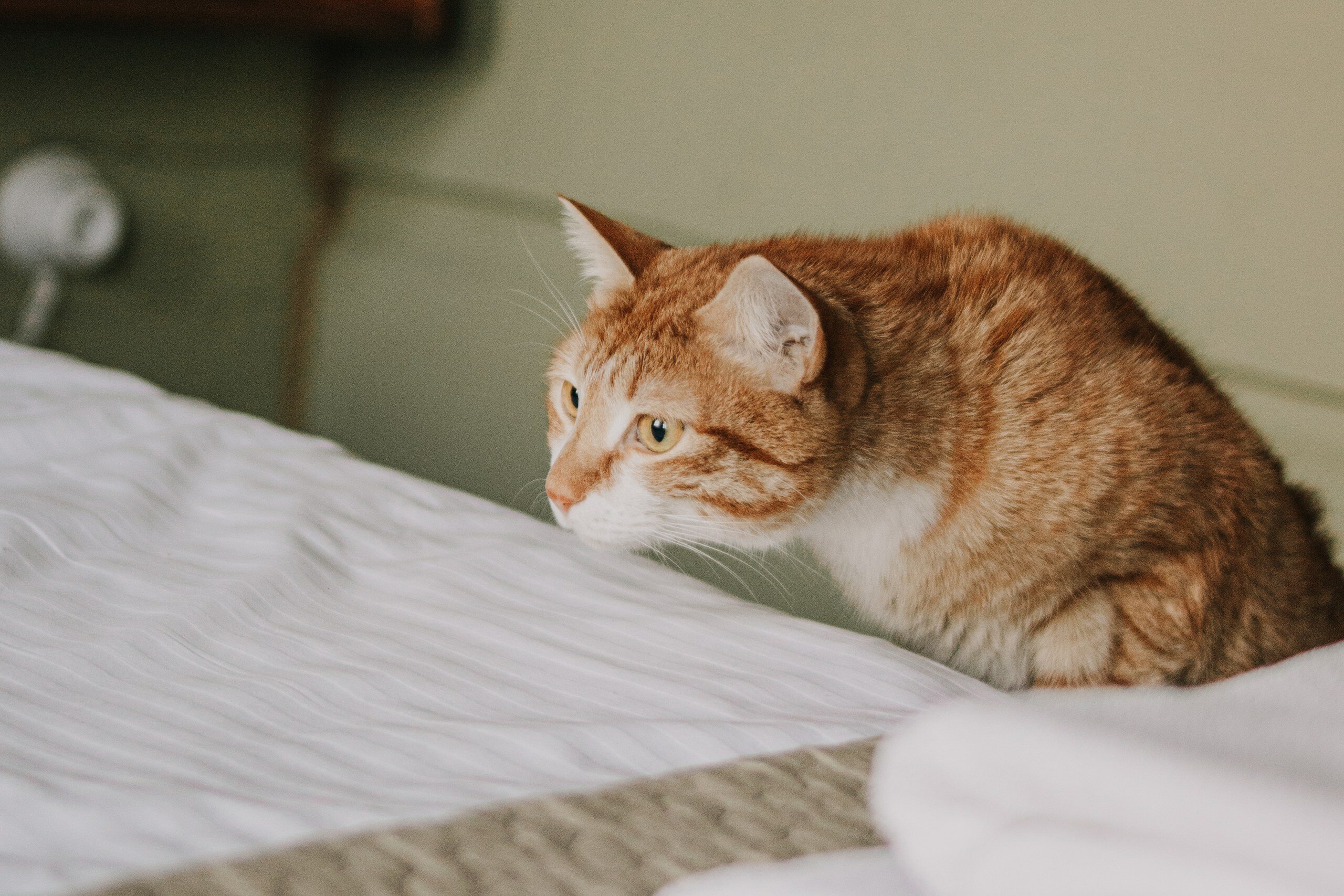 Фото Доходный Дом М. А. Листратовой