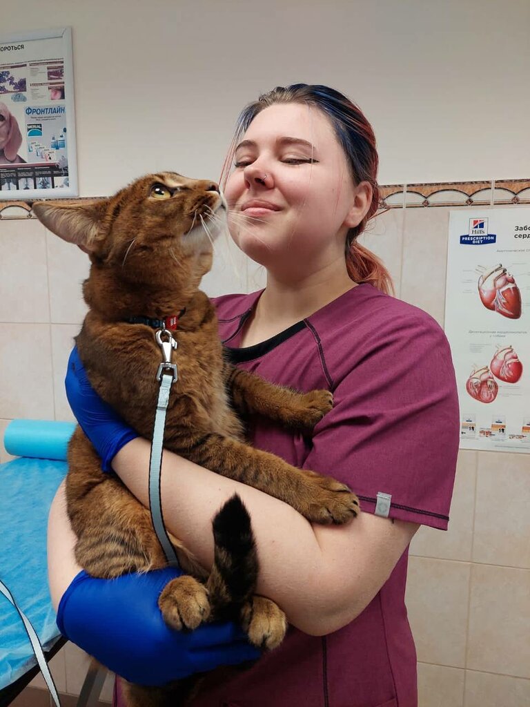 Veterinary clinic CityVet, Saint Petersburg, photo