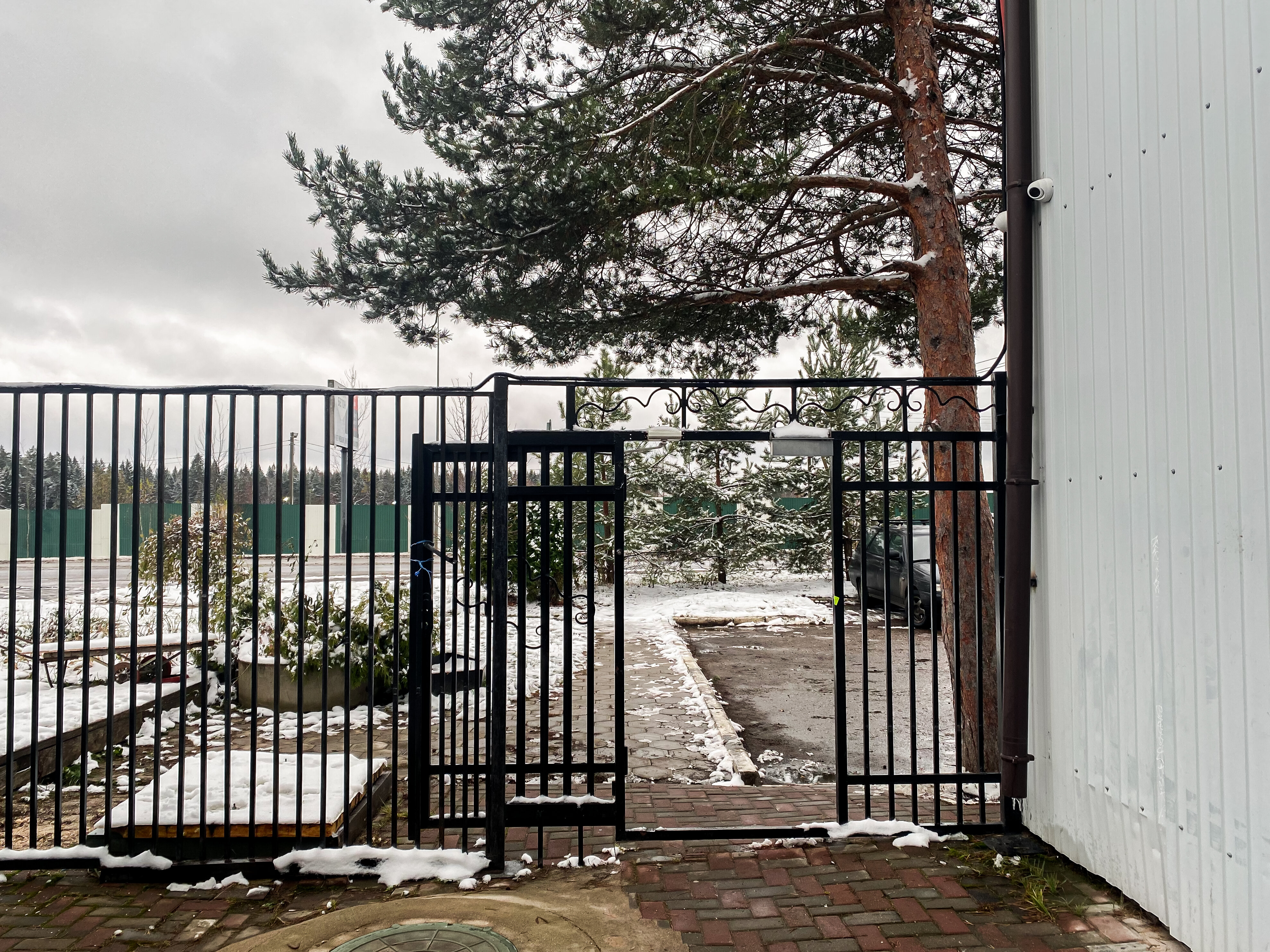 Фото Барашки