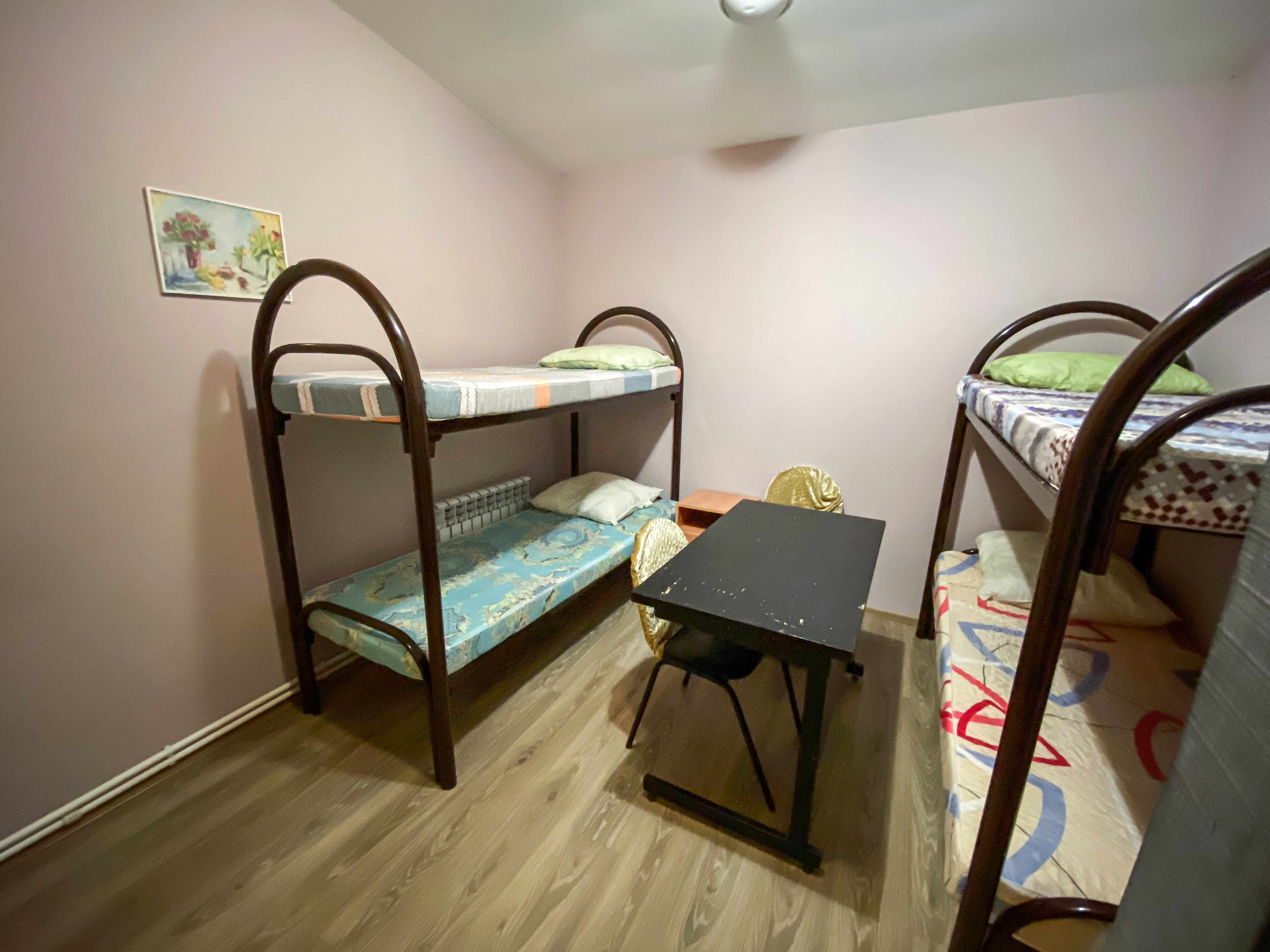 Фото Барашки