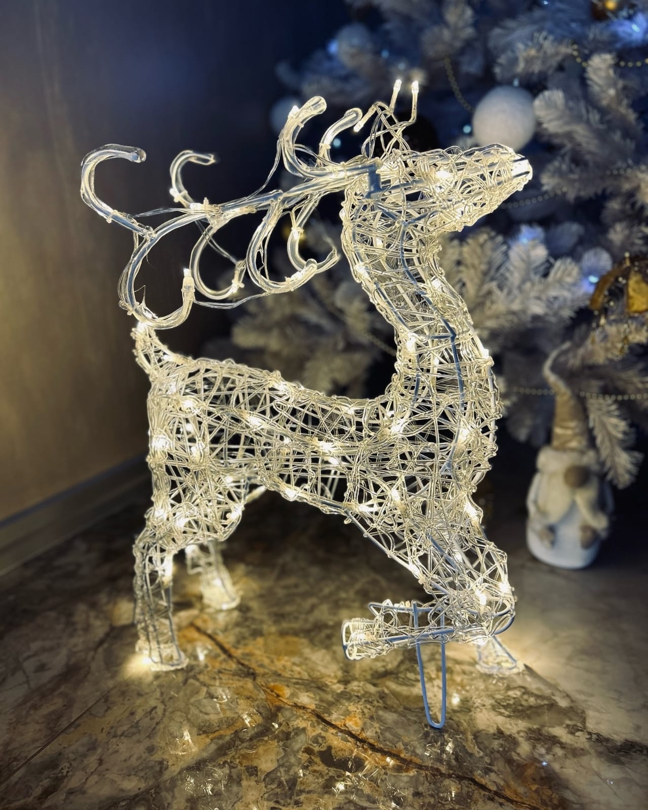 Фото Ленинградский