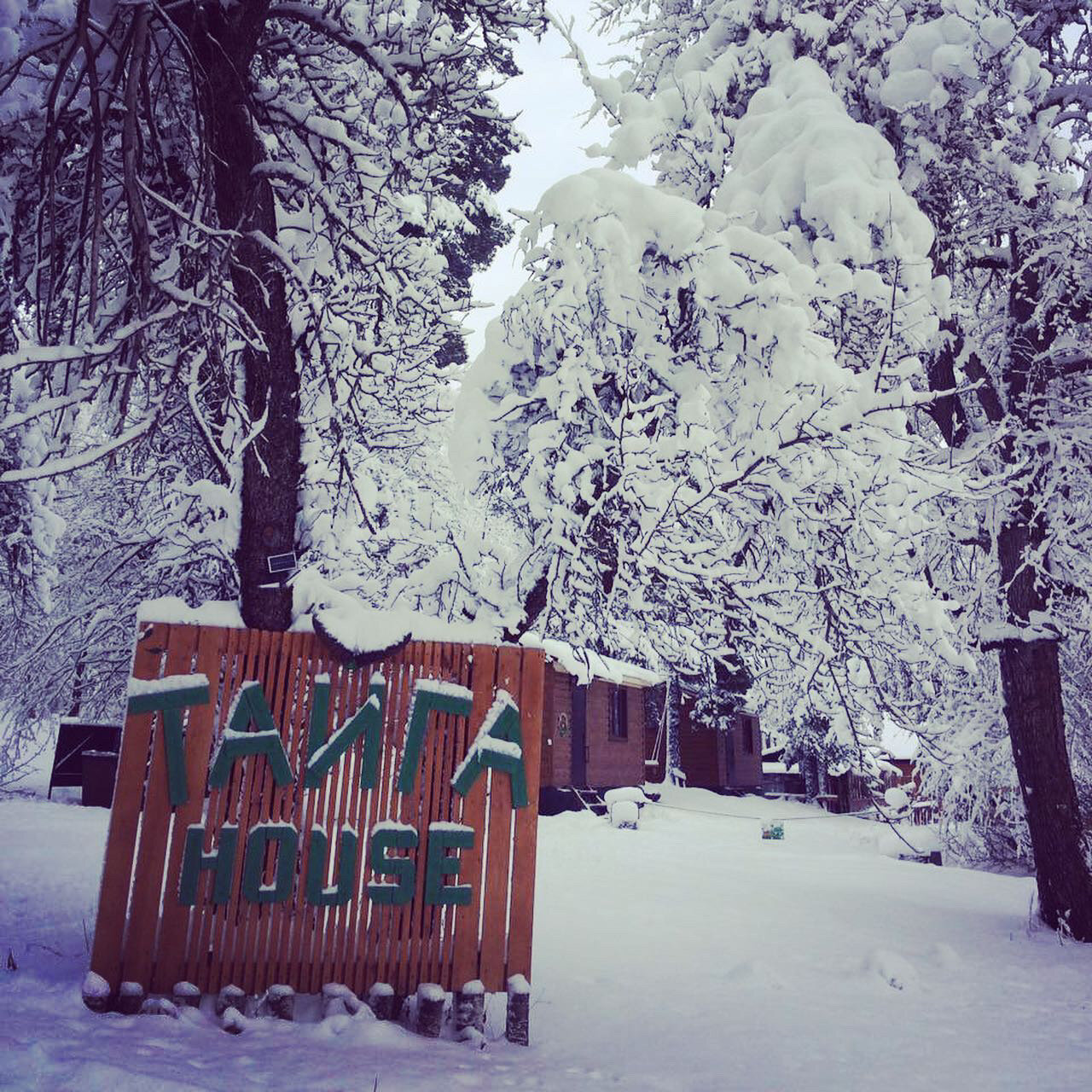 Фото Тайга House