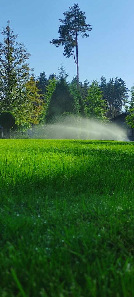 Landscape design Open Systems, Voronezh, photo