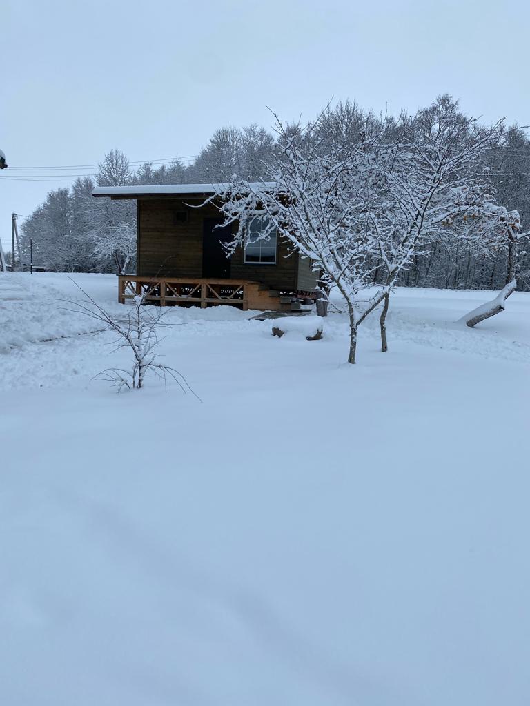 Фото Изборская слобода