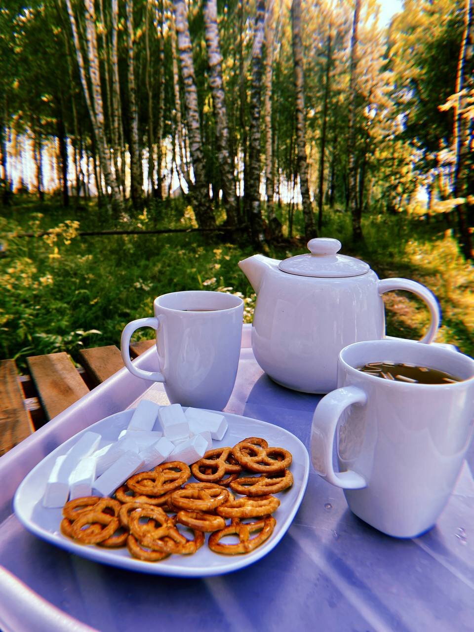 Фото Берег Грифона