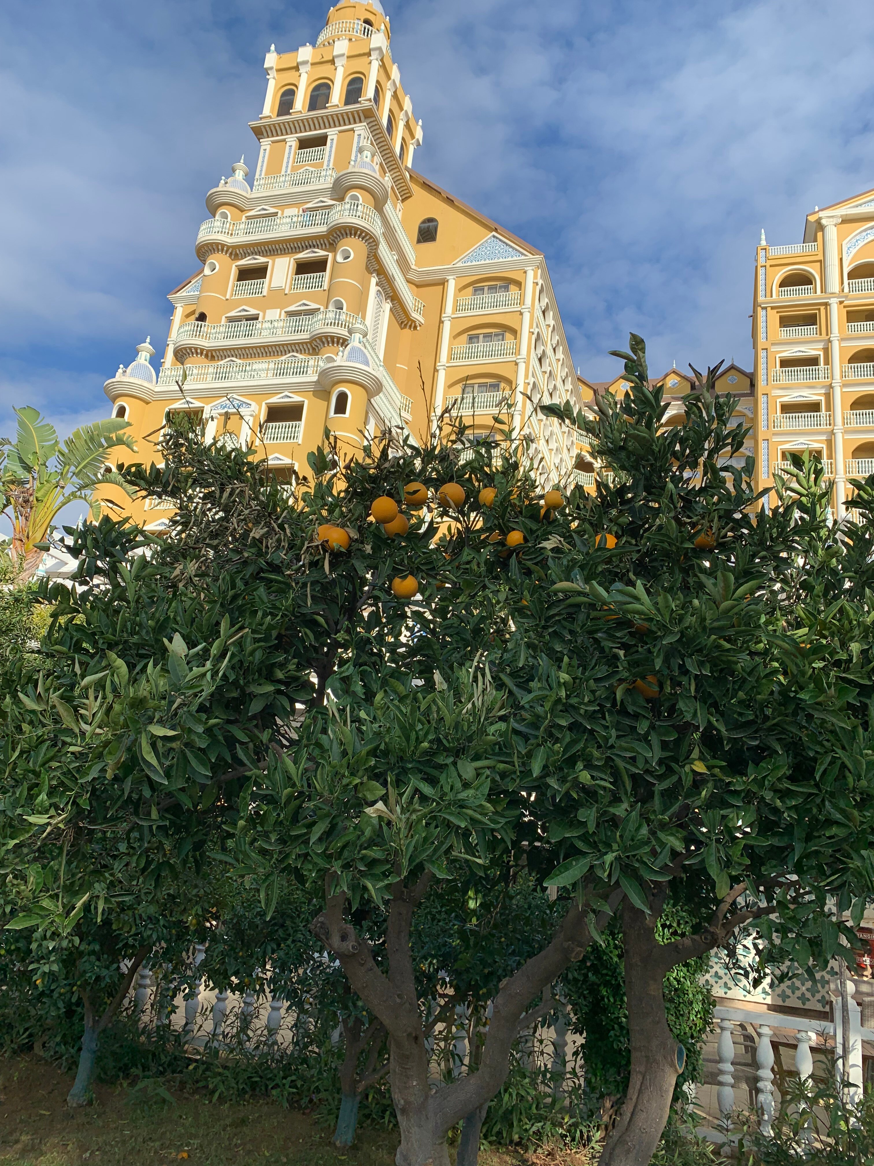 Фото Royal Holiday Palace Hotel