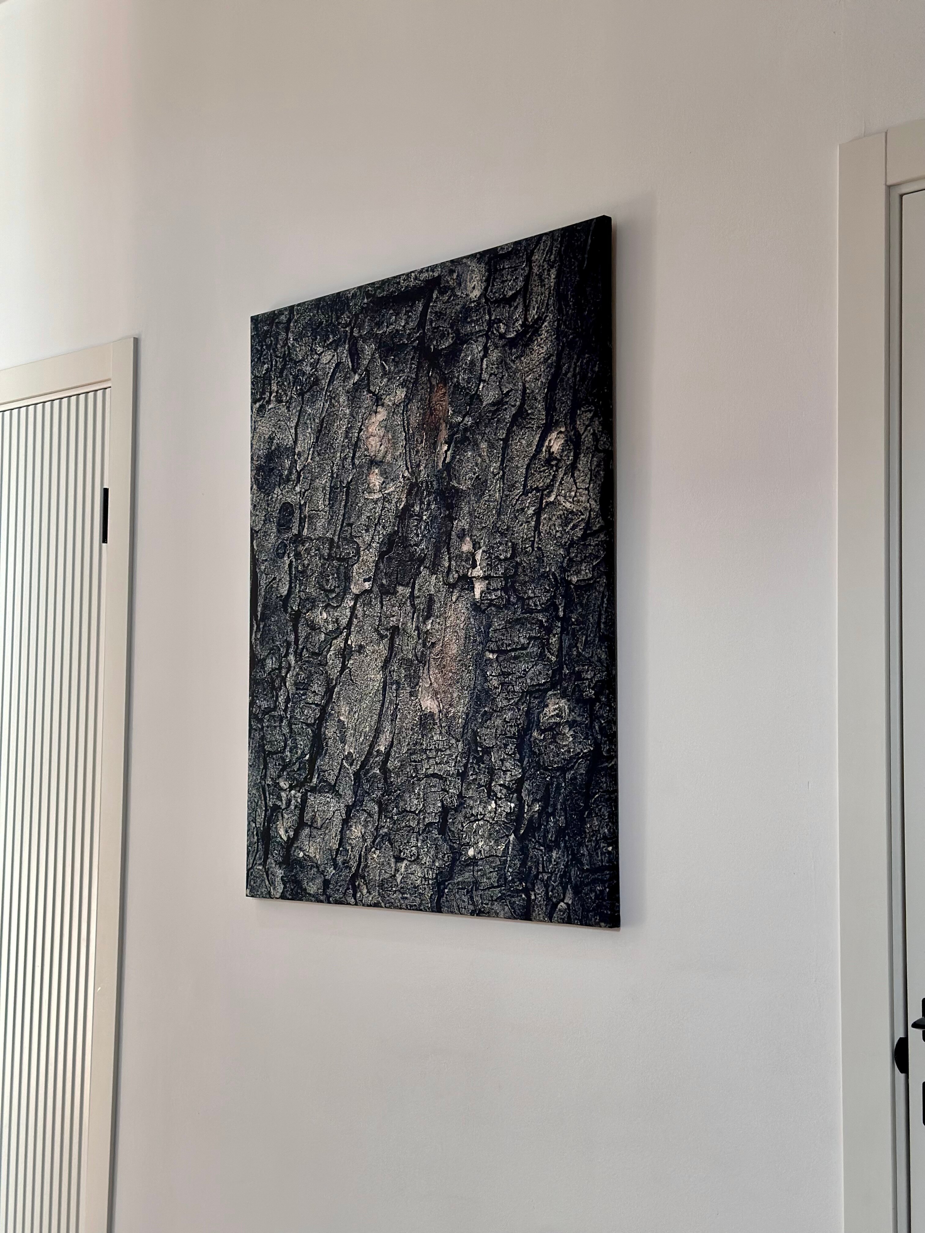 Фото Дом на холме