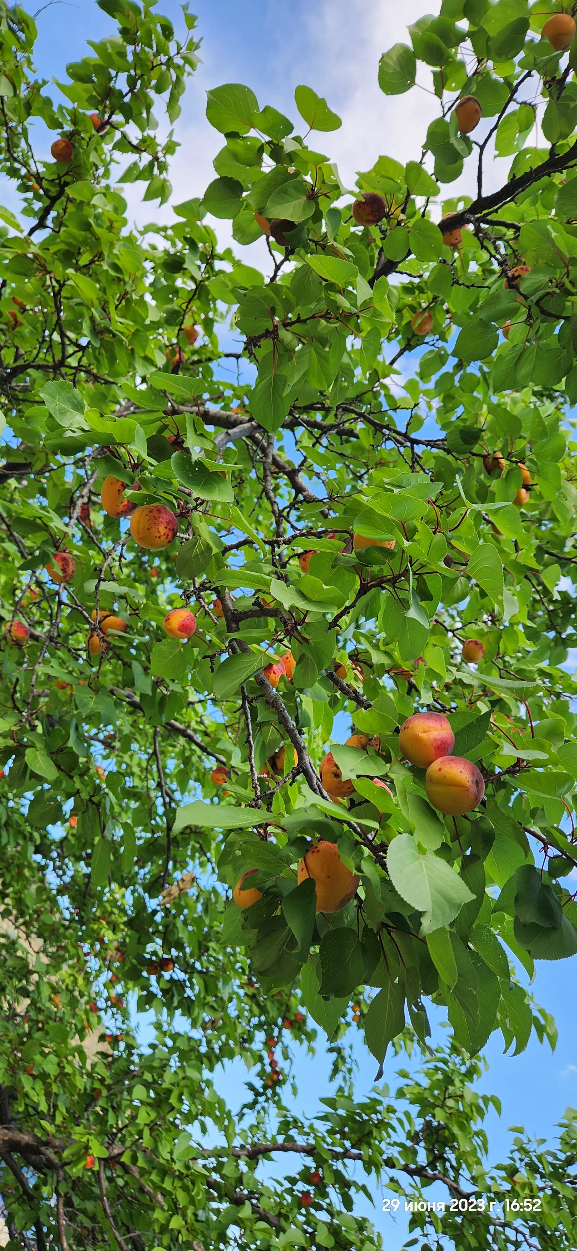 Фото У Зайнаб