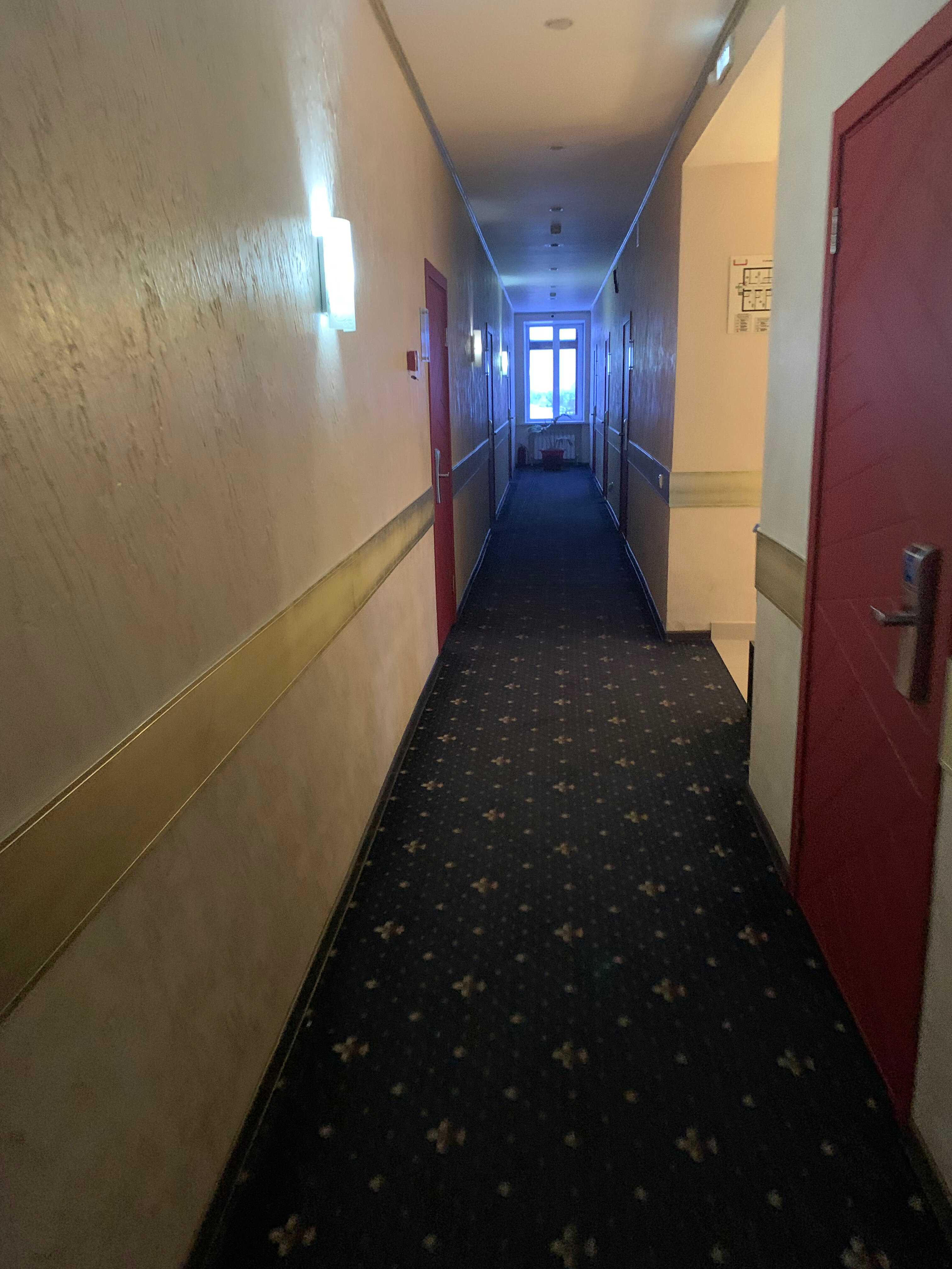 Фото Виардо