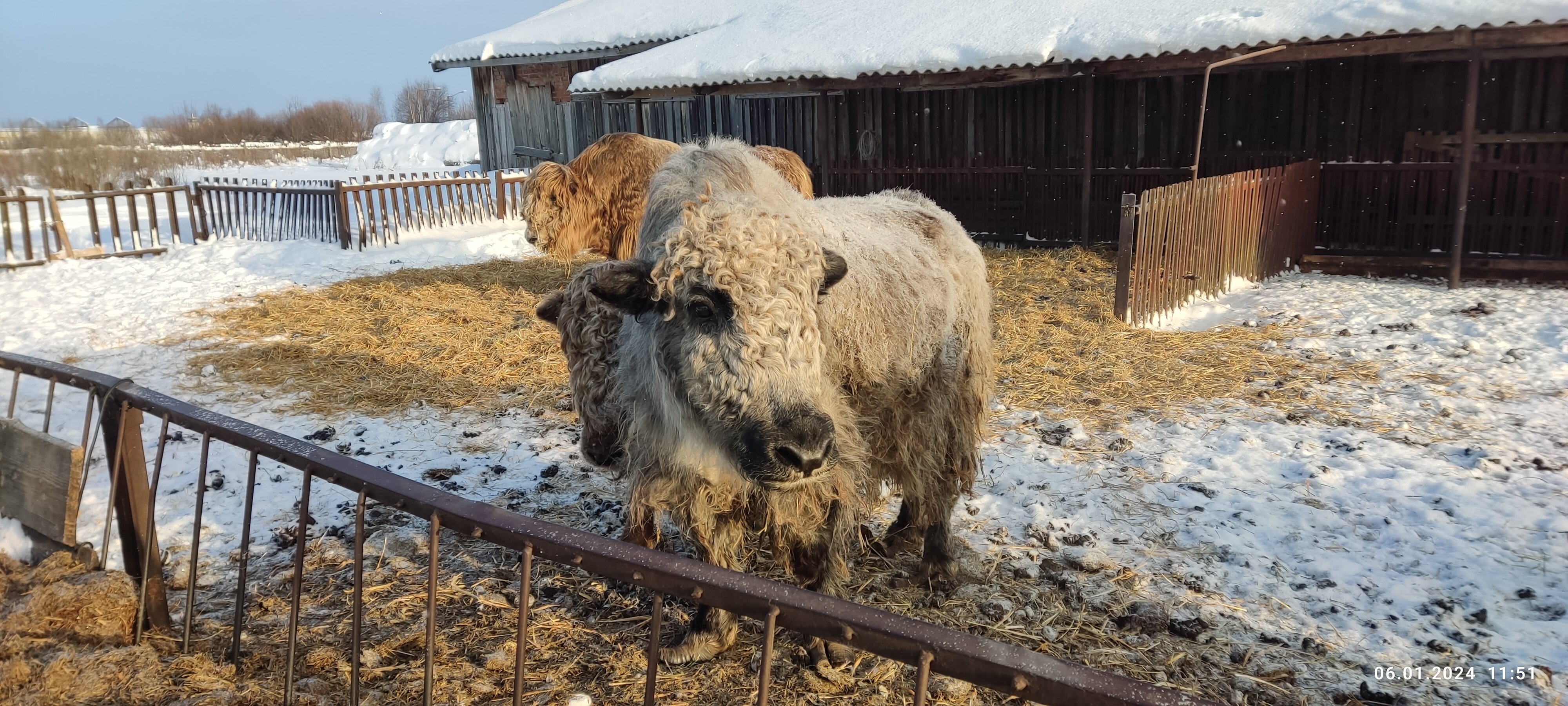 Фото Кумыска