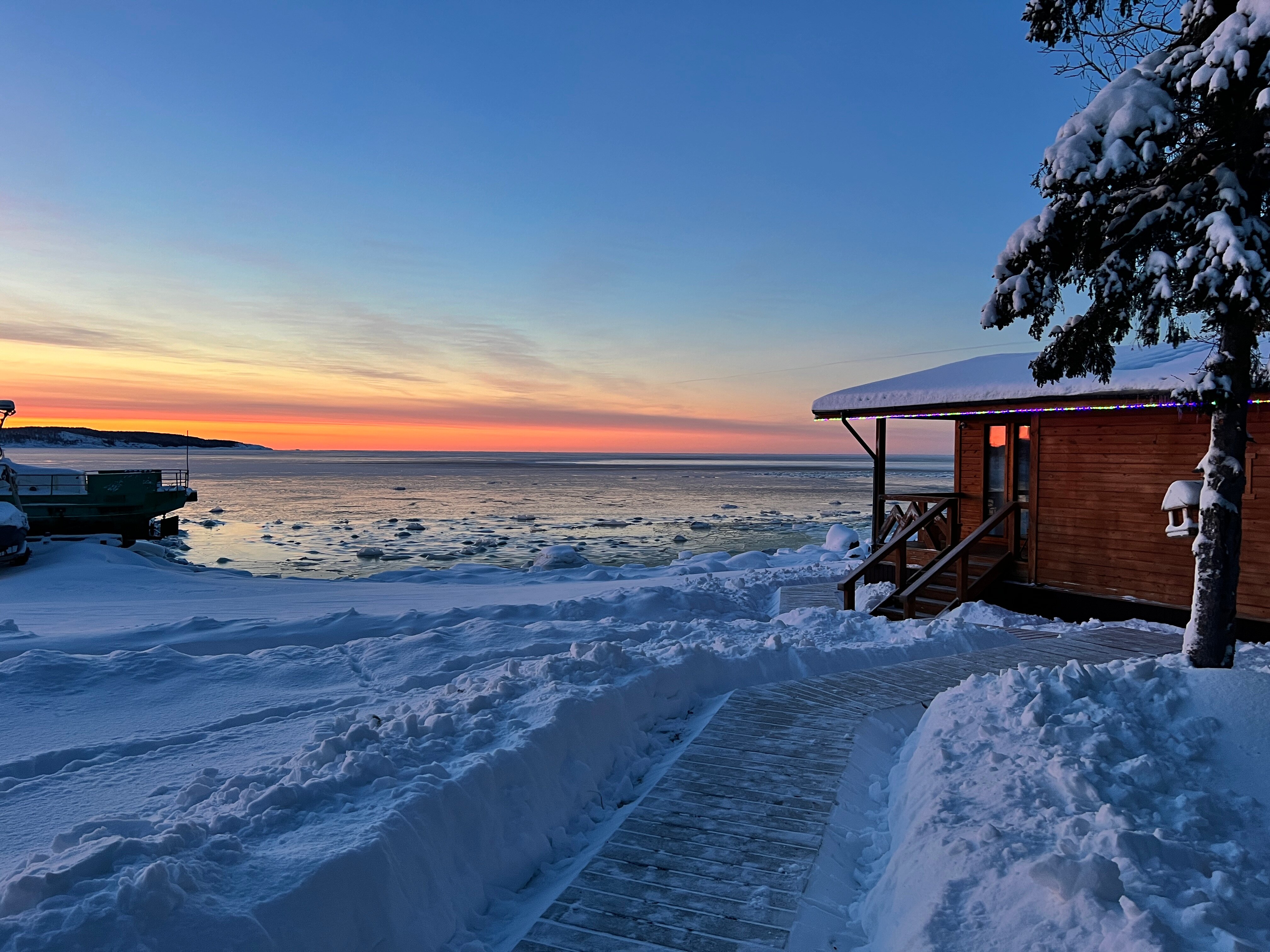 Фото Cedar Grass Белое море
