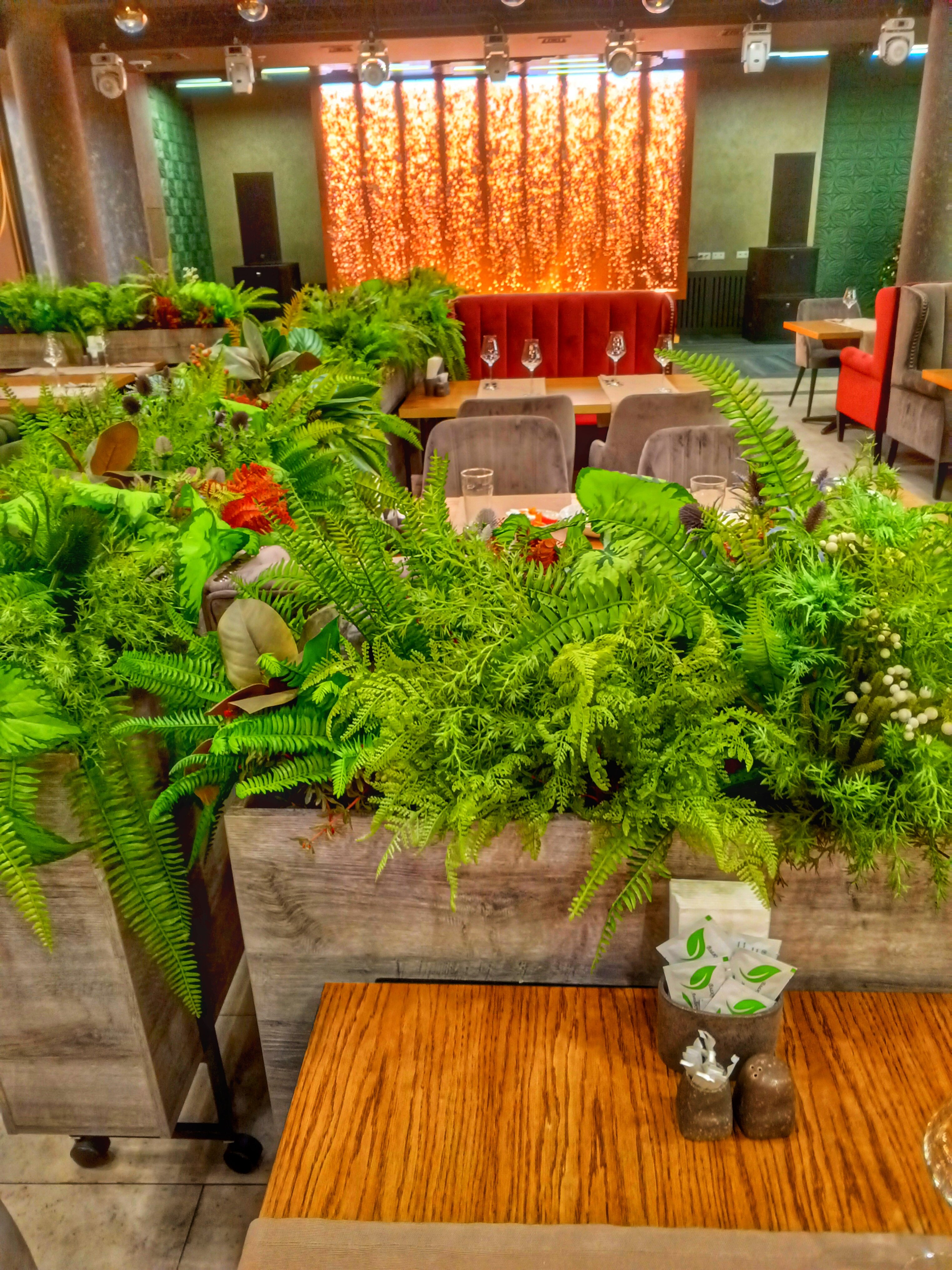 Фото Соколёна