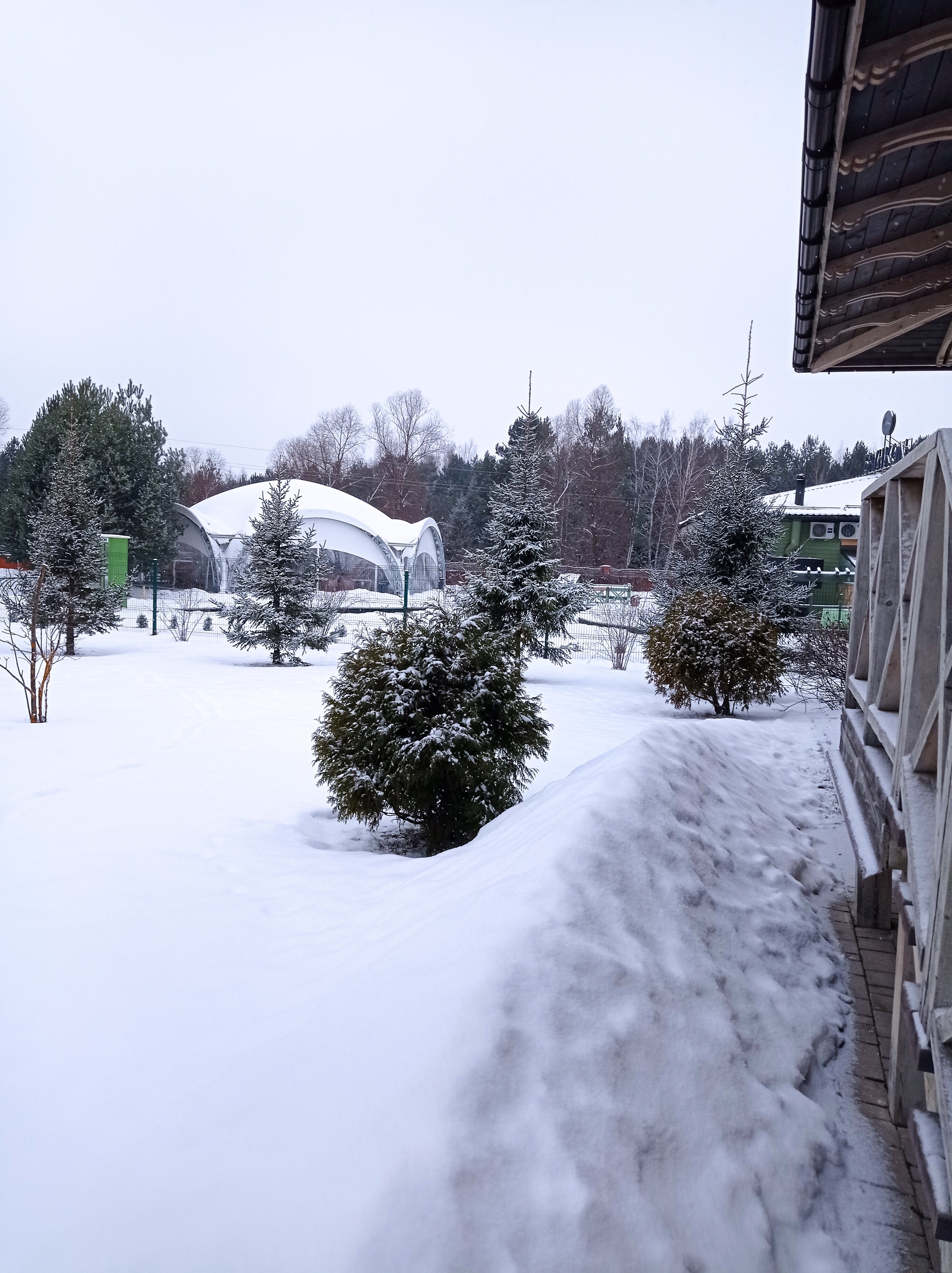 Фото Брунколь