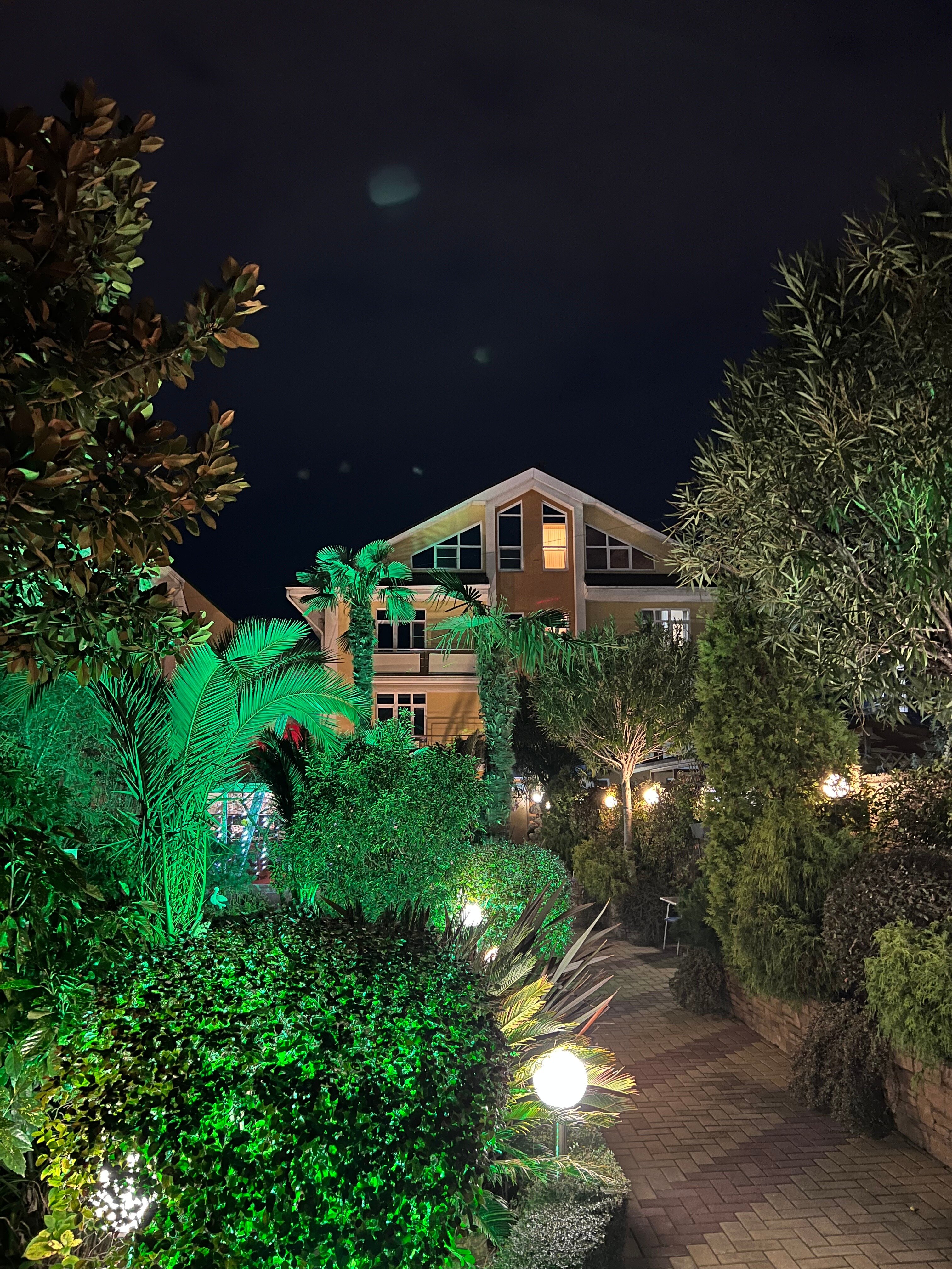 Фото Дельфин