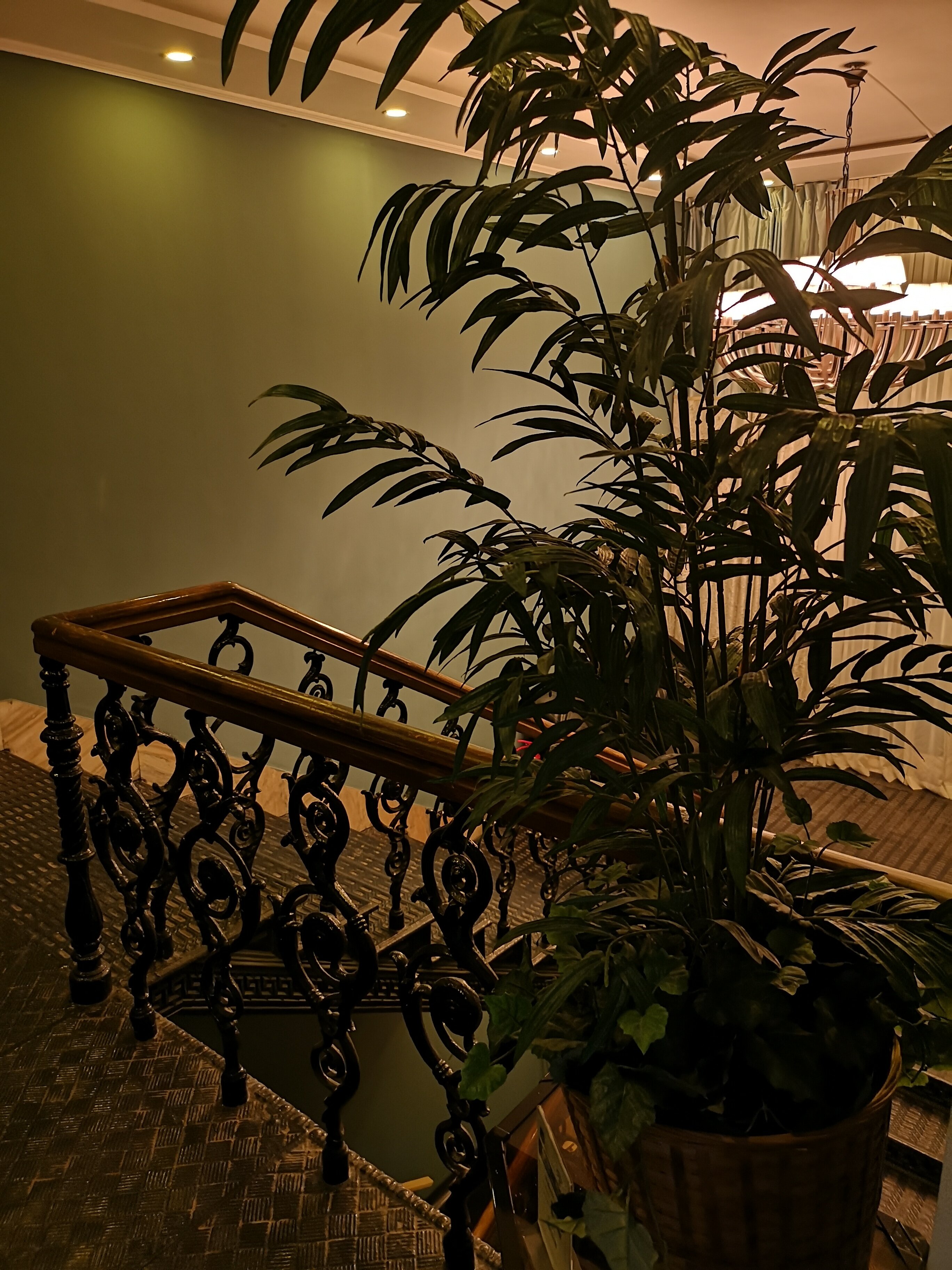 Фото Шато Волго