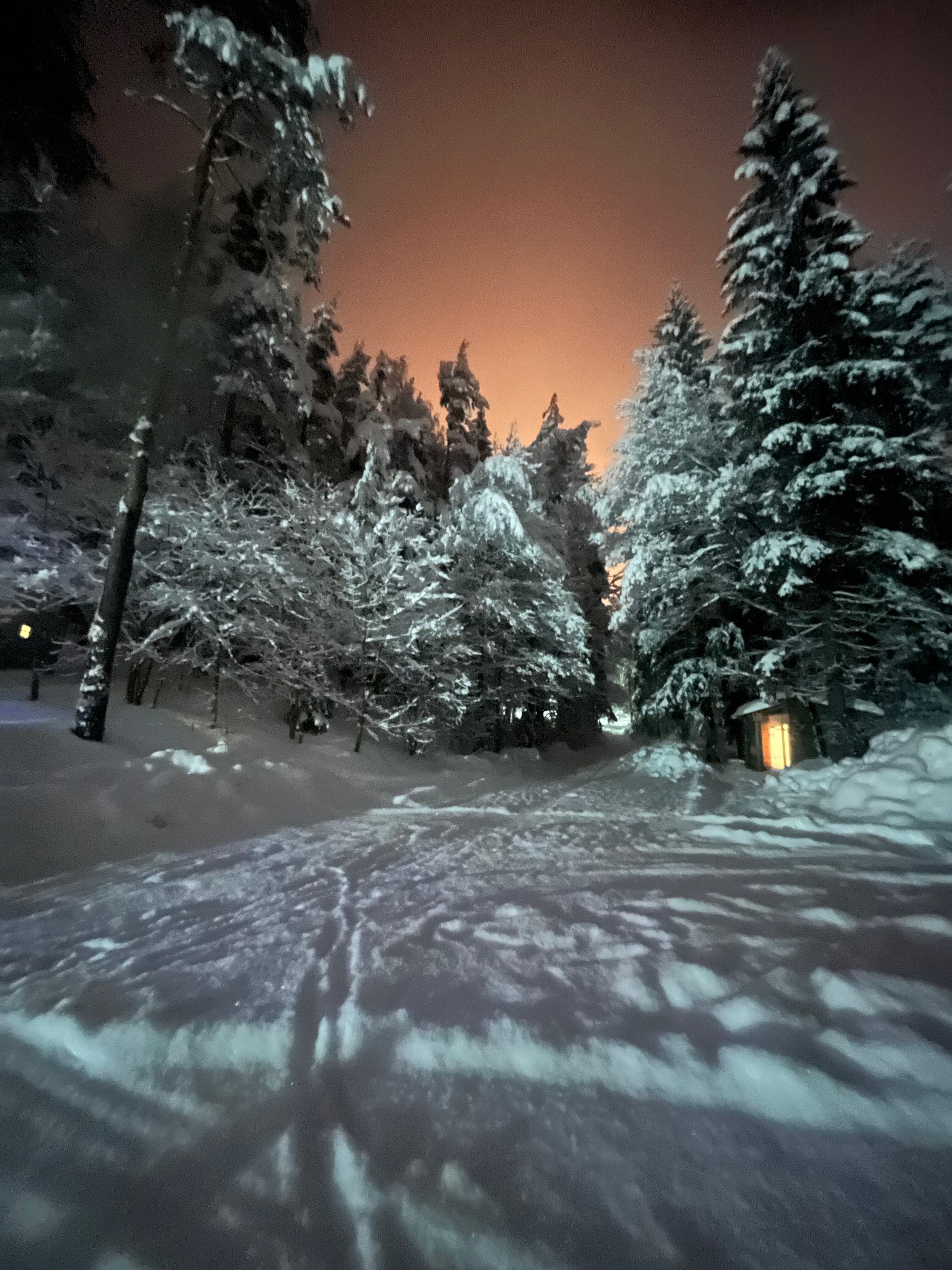 Фото Динамо