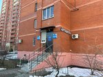 Zap-z.ru (Zheleznodorozhny Microdistrict, Pionerskaya ulitsa, 33), auto parts and auto goods store