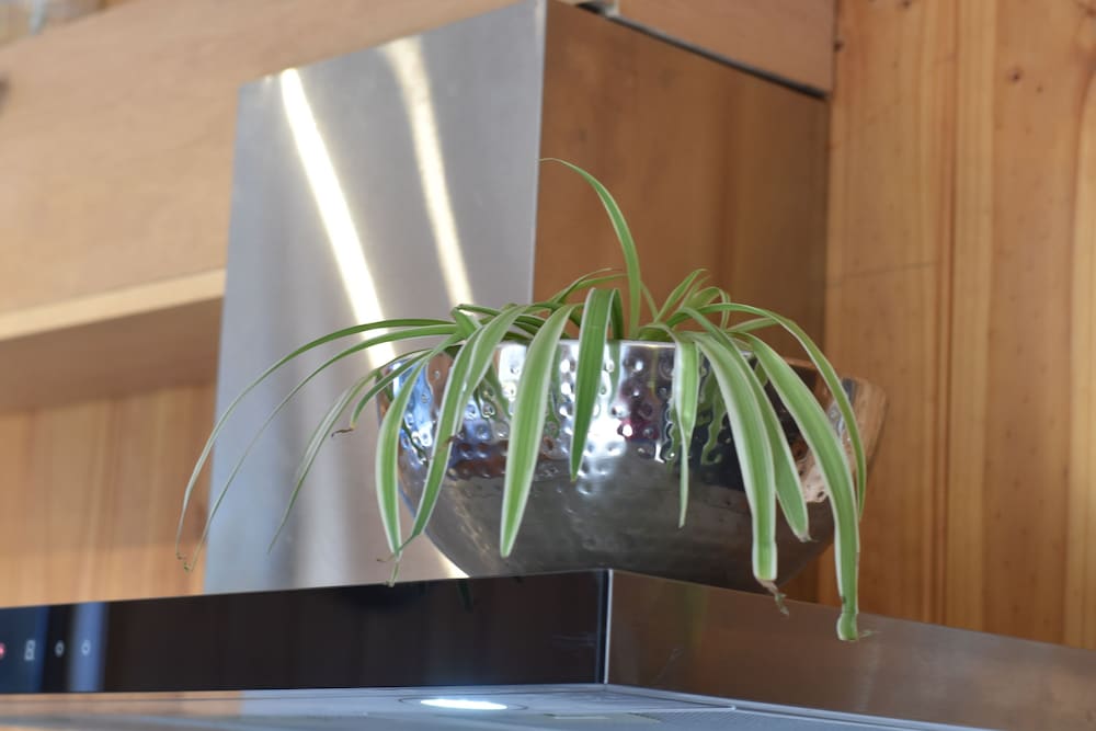 Фото Tutumaz by the River