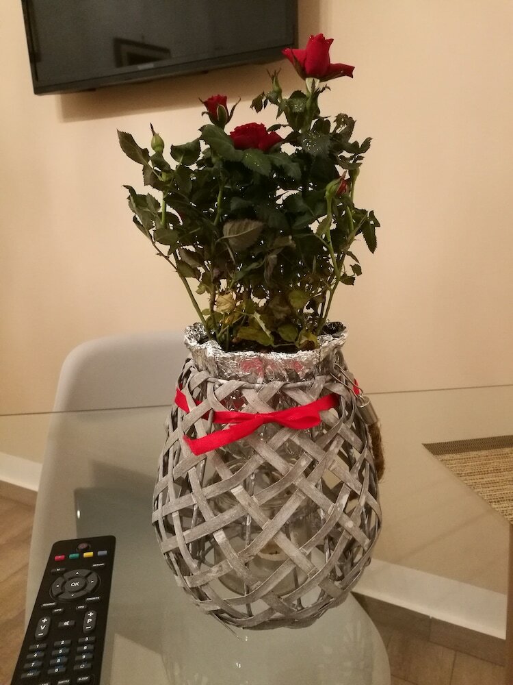 Фото Bella Palermo