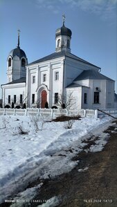 Церковь Введения во храм Пресвятой Богородицы (Центральная ул., 29, село Введенка), православный храм в Липецкой области