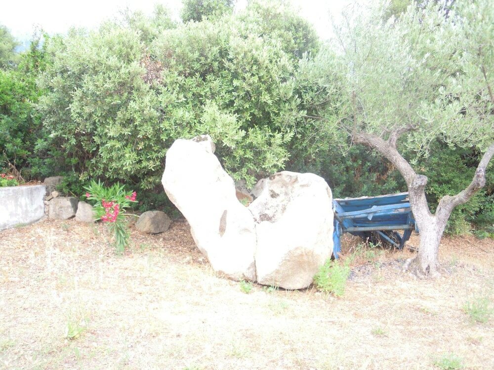 Фото Agriturismo Camisadu