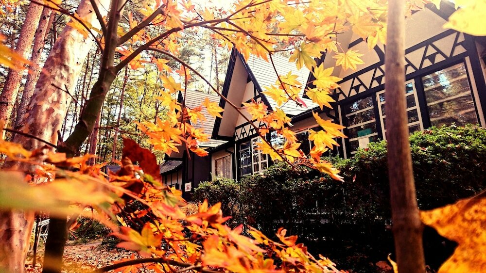 Фото Pension Maple Leaf