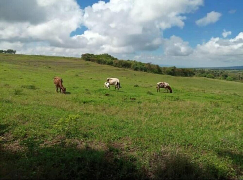 Фото St. Catherine Monastery