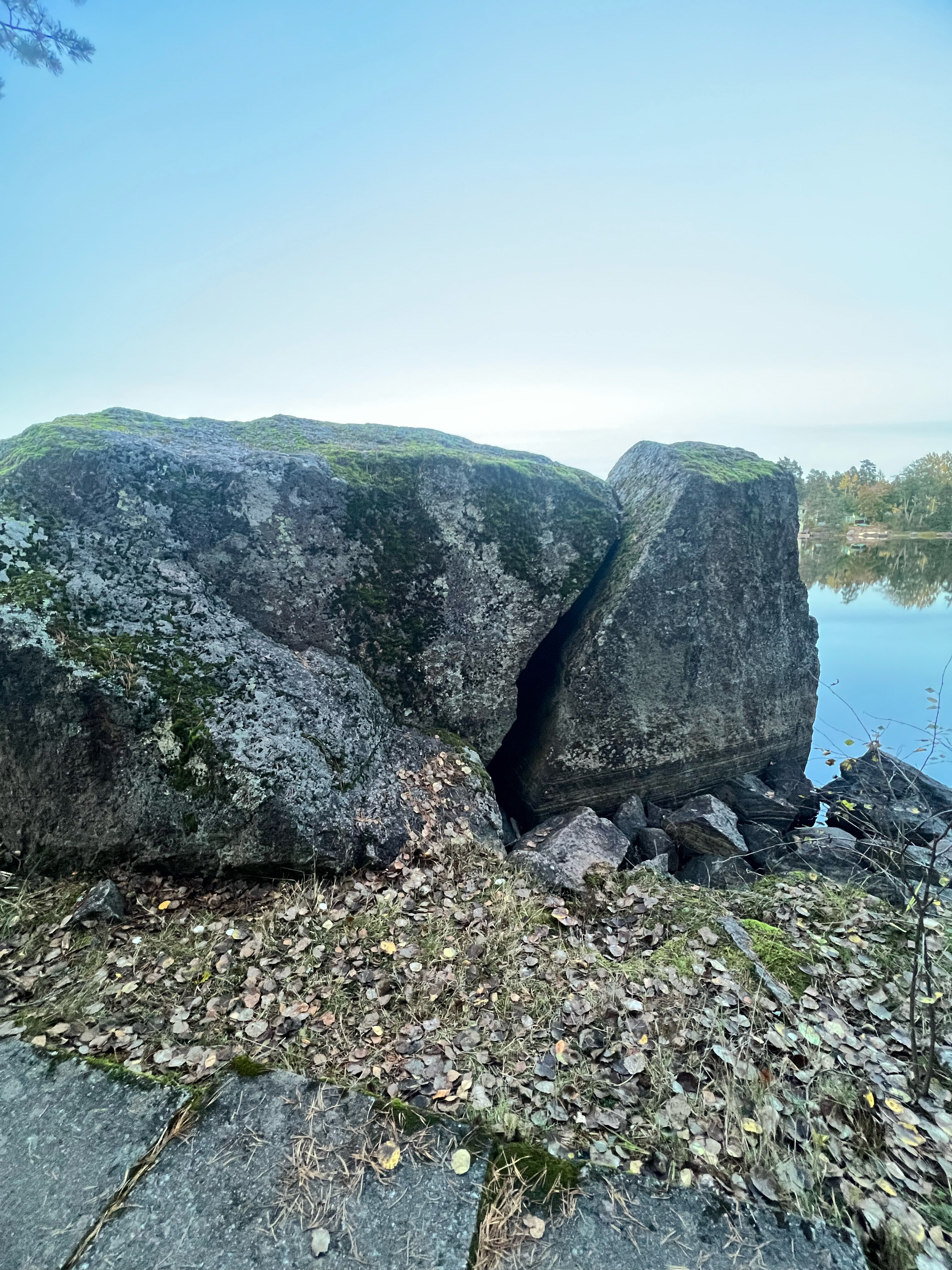Фото Лесная сказка