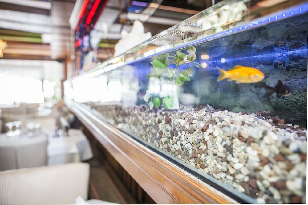 Фото Hotel Zografos