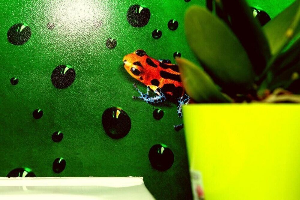 Фото Pavia Affitta Camere