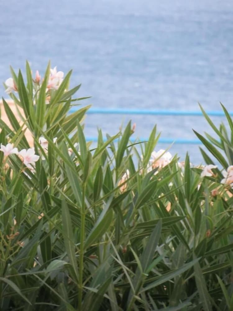 Фото Nicolas Apartments