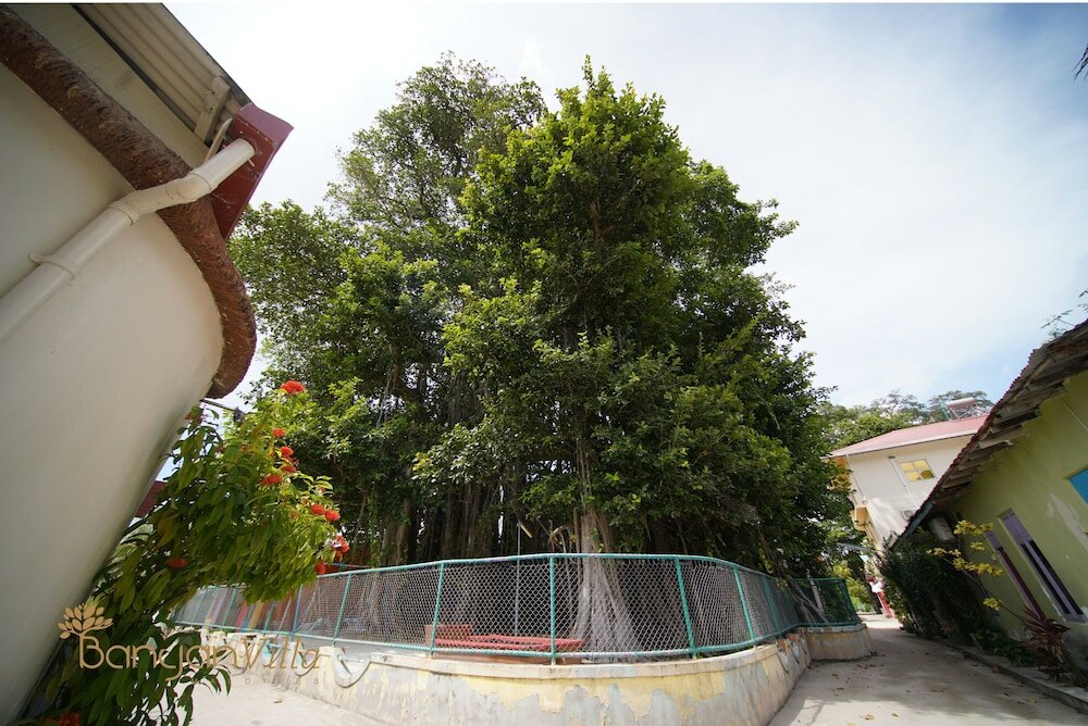 Фото Banyan Villa Maldives